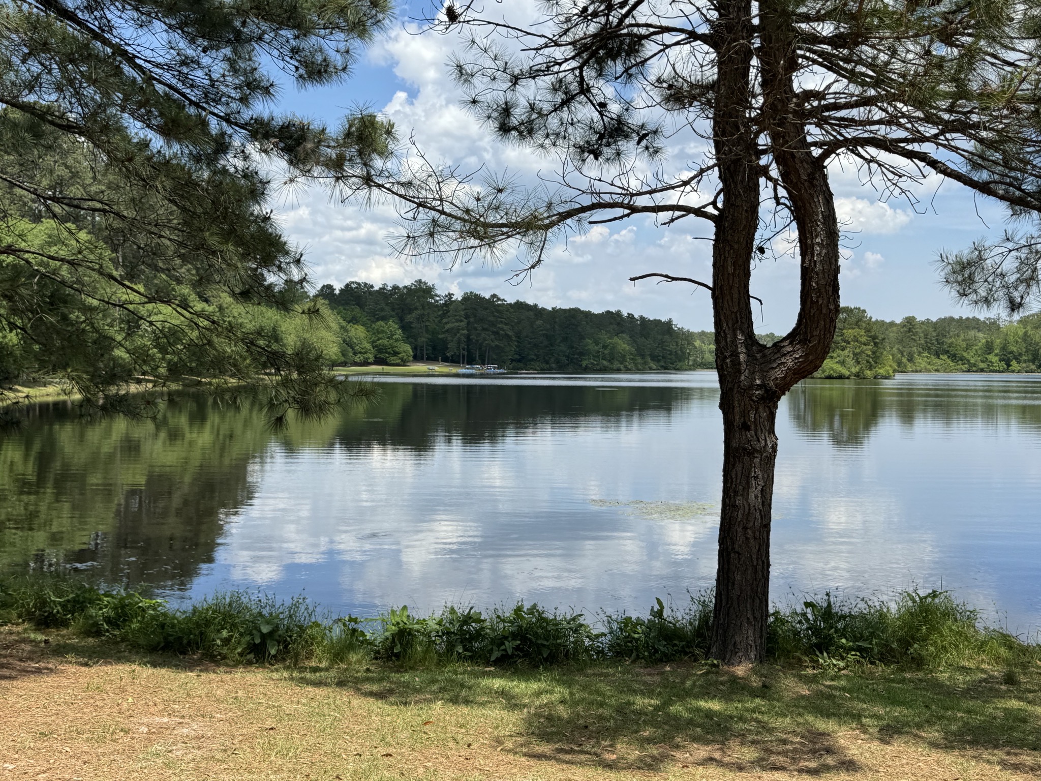 Lake