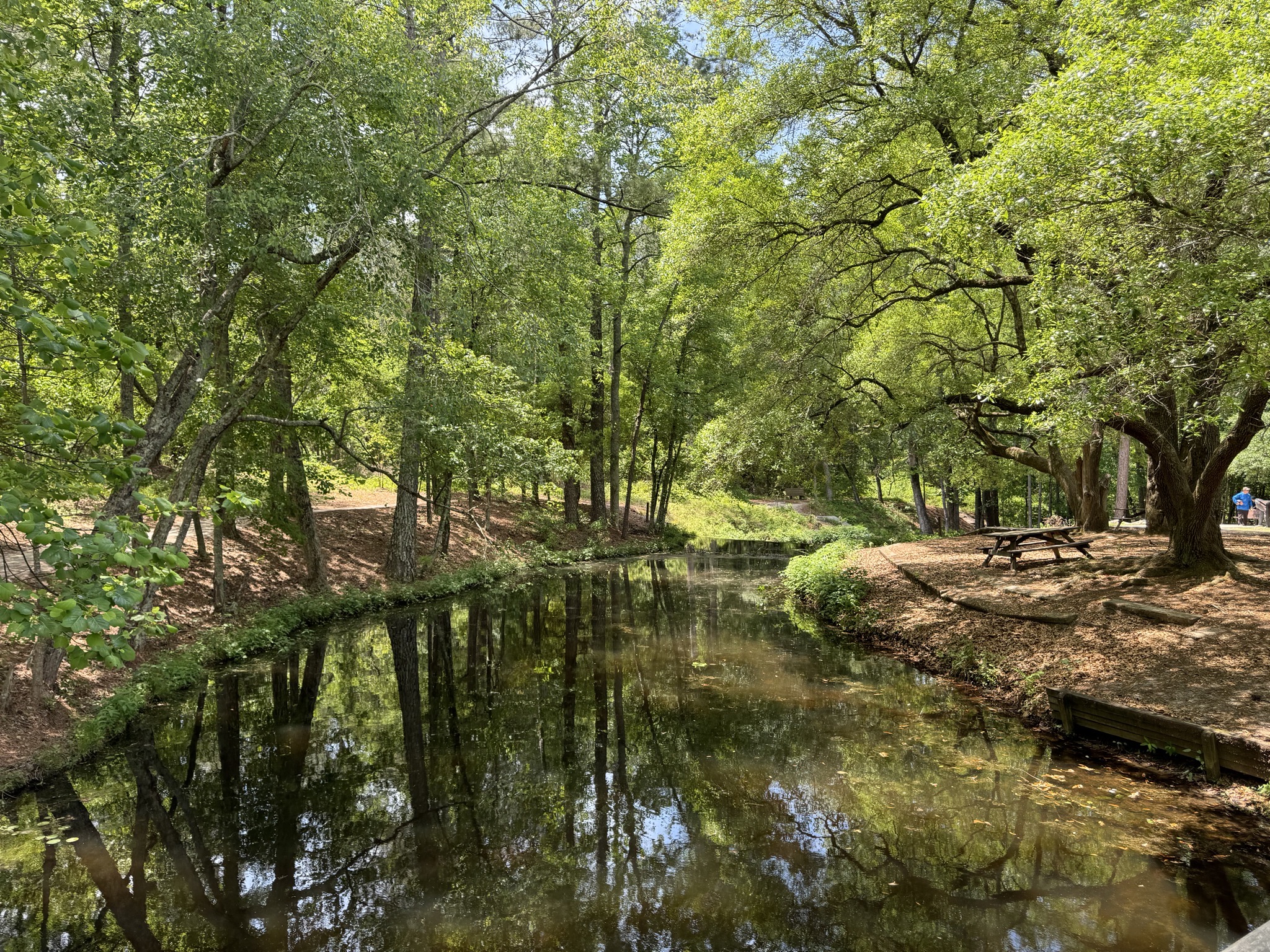 Stream