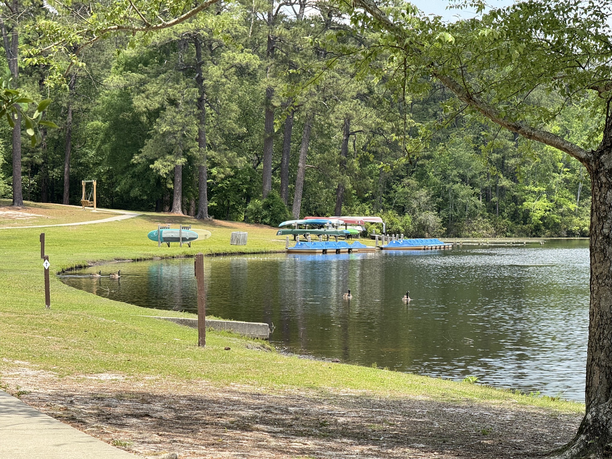 Rental boats