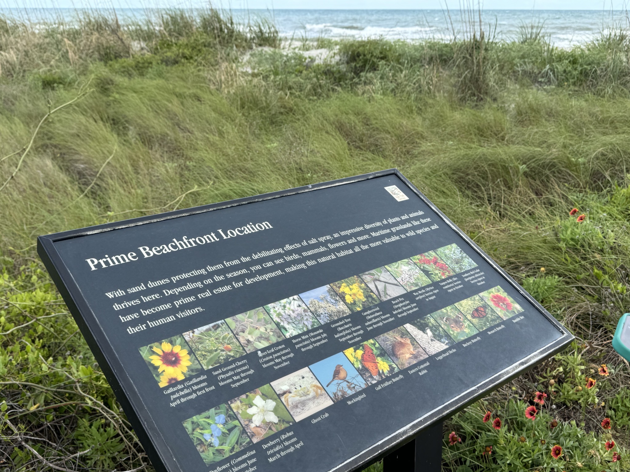 Sign