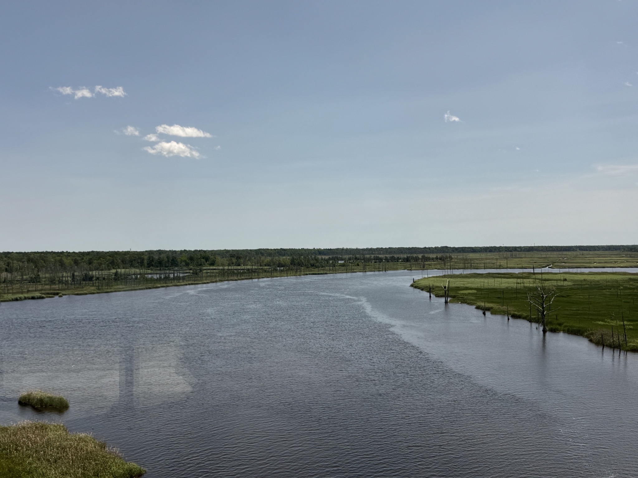Northeast Cape Fear River