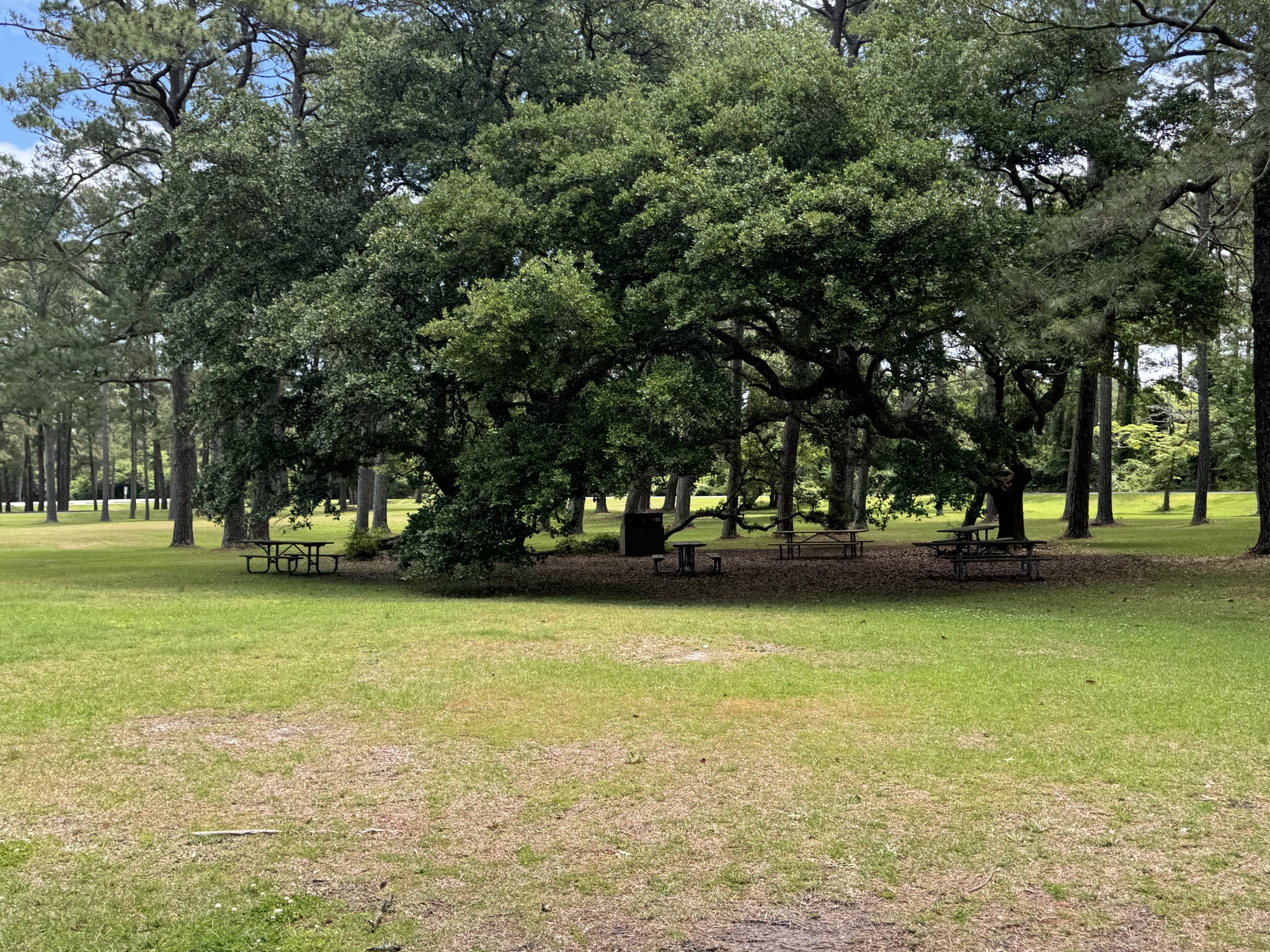 Picnic area