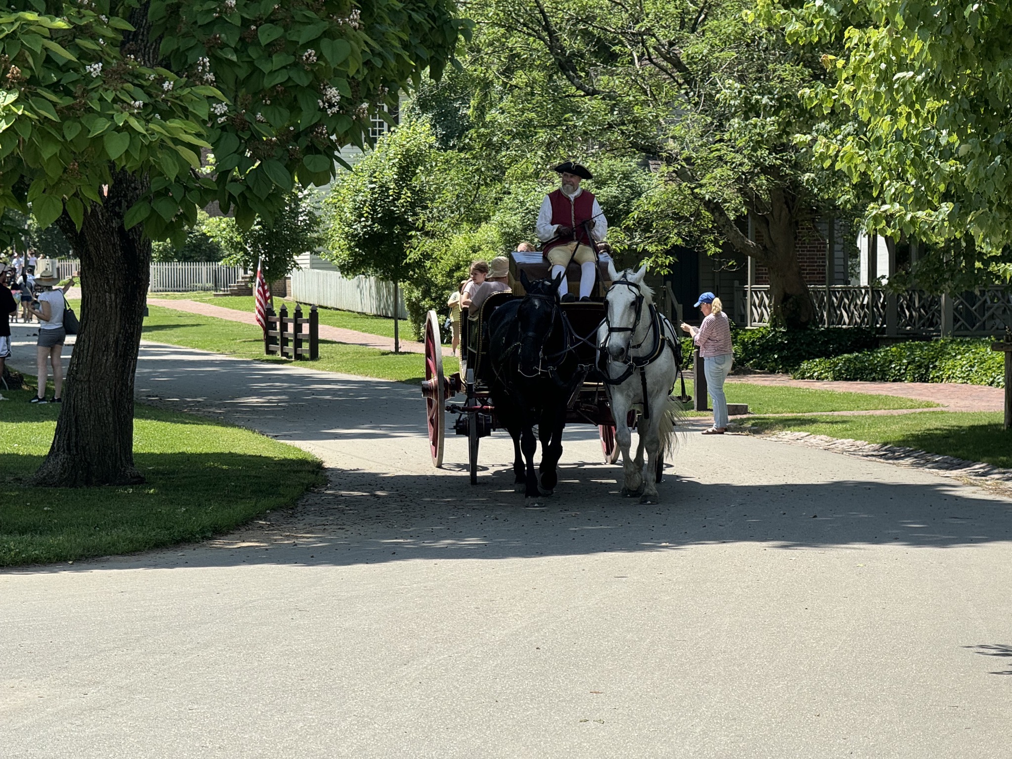 Horse and cart