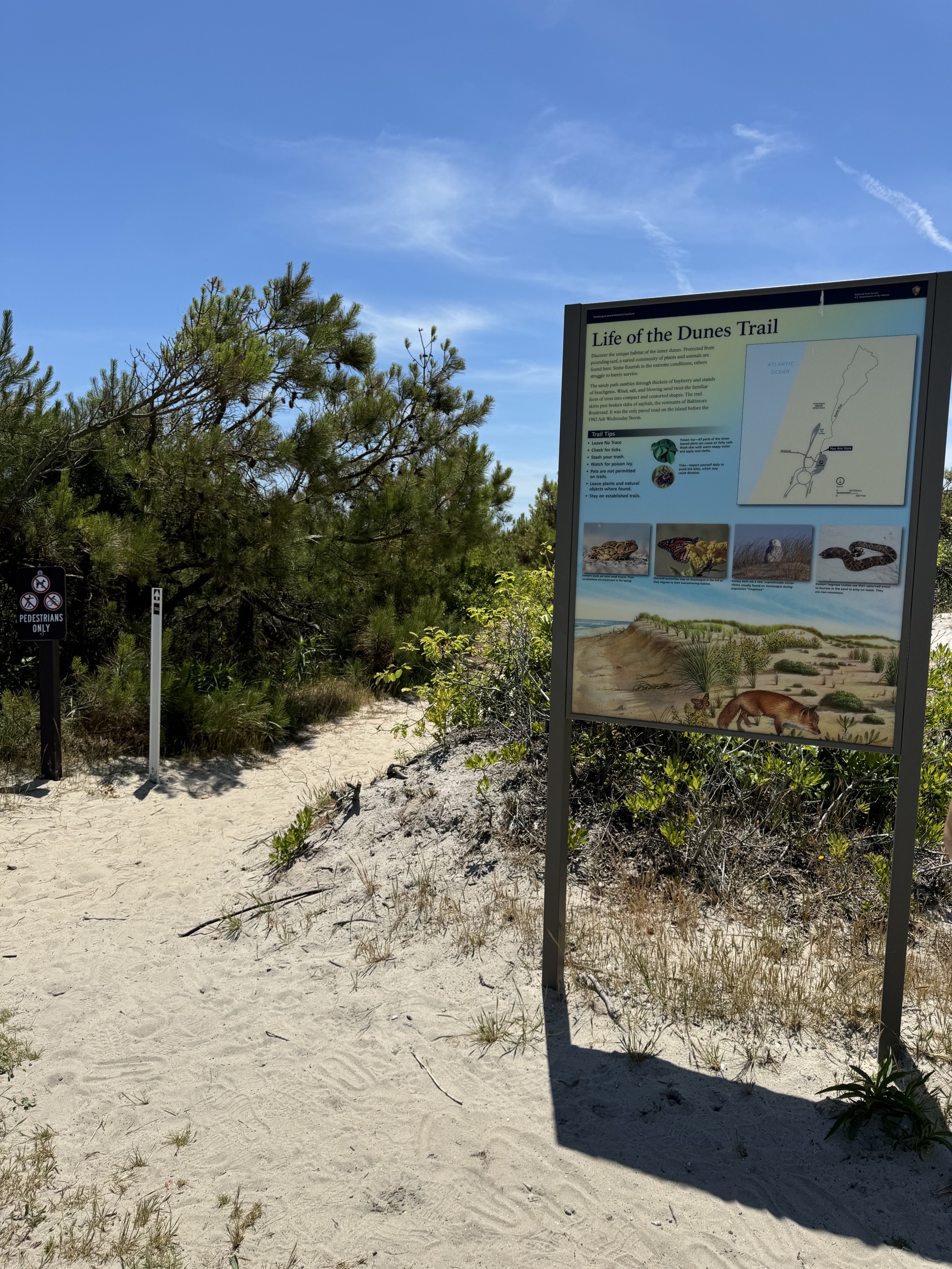 Dunes trail hike