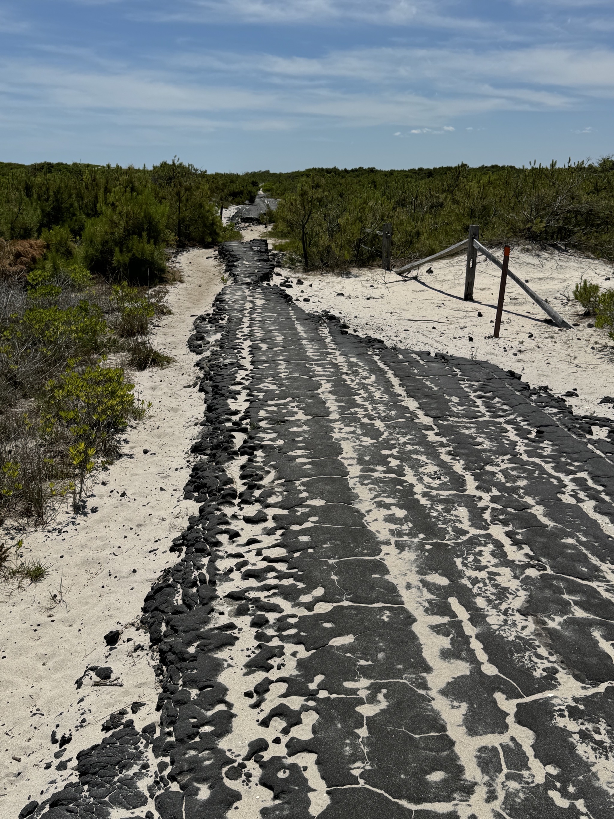 Dunes trail hike