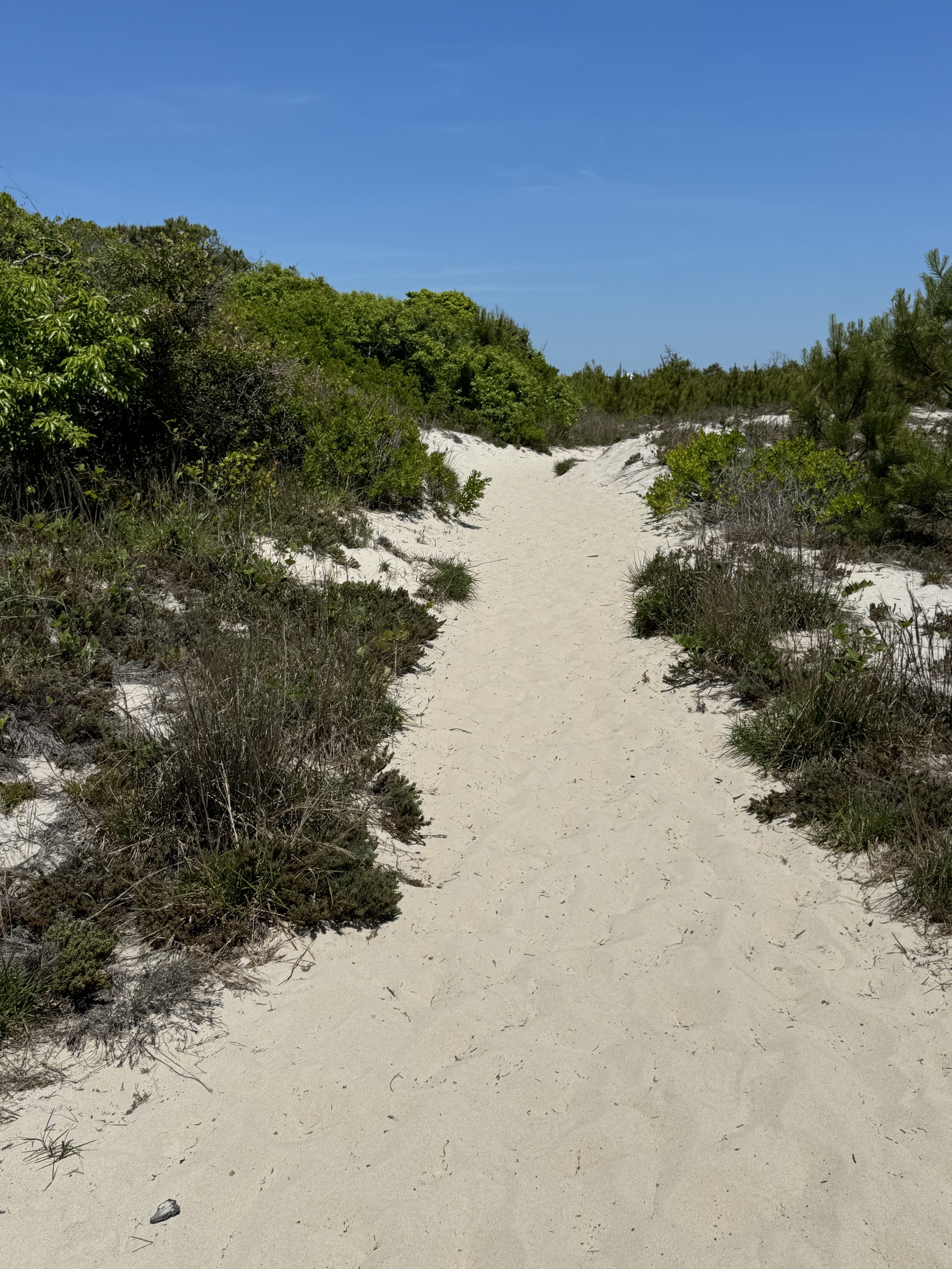 Dunes trail hike