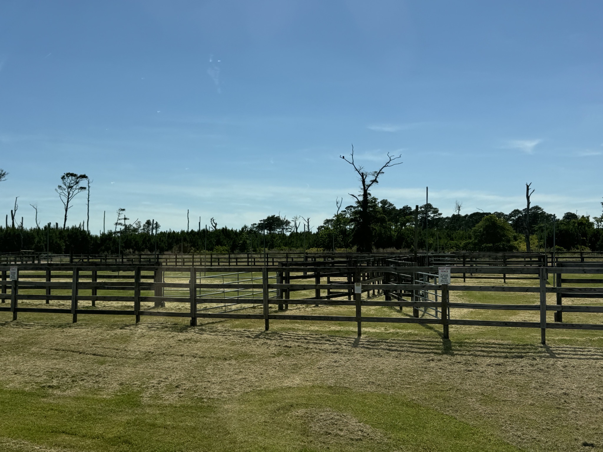 Horse corral