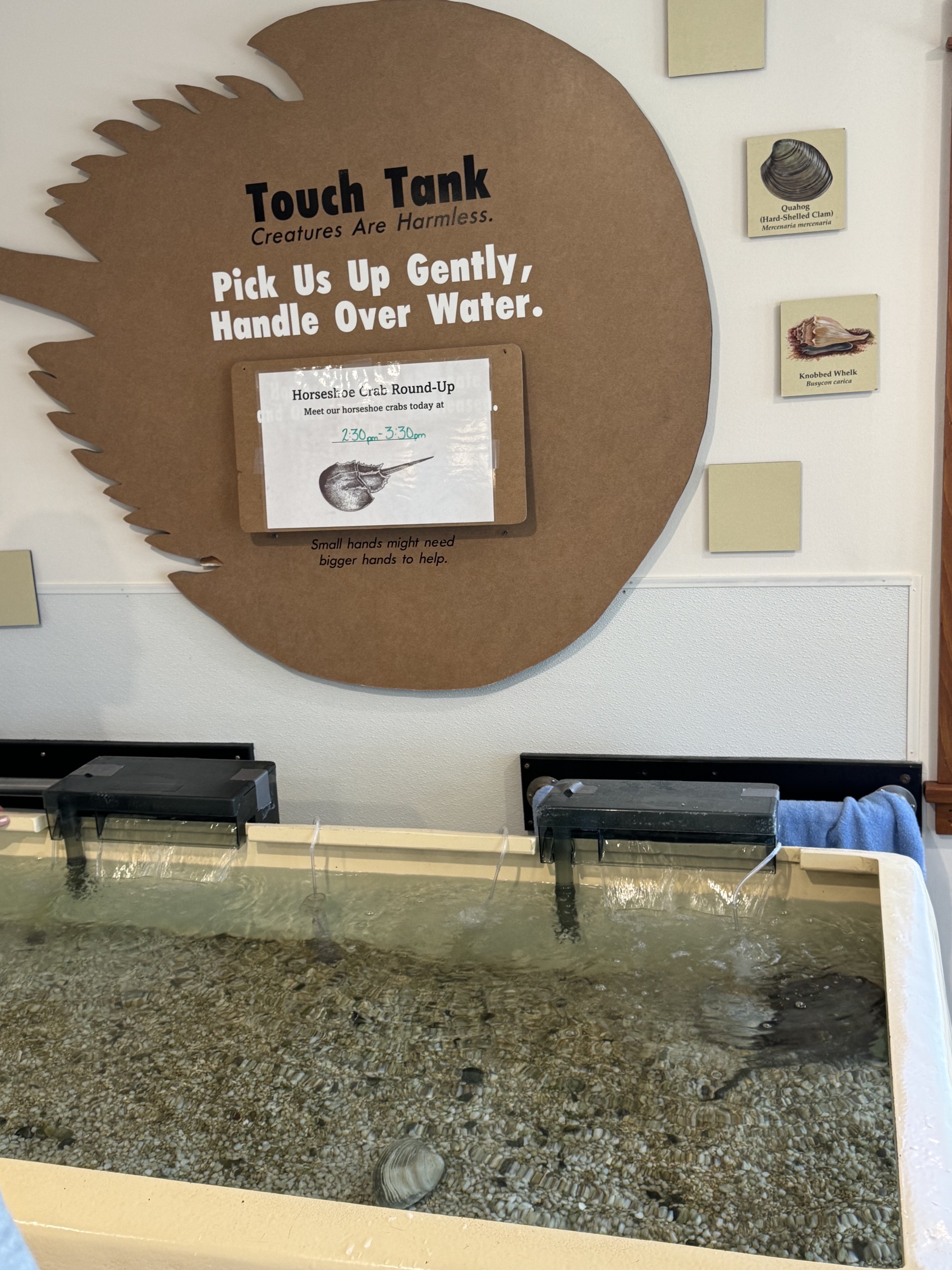 Visitor center