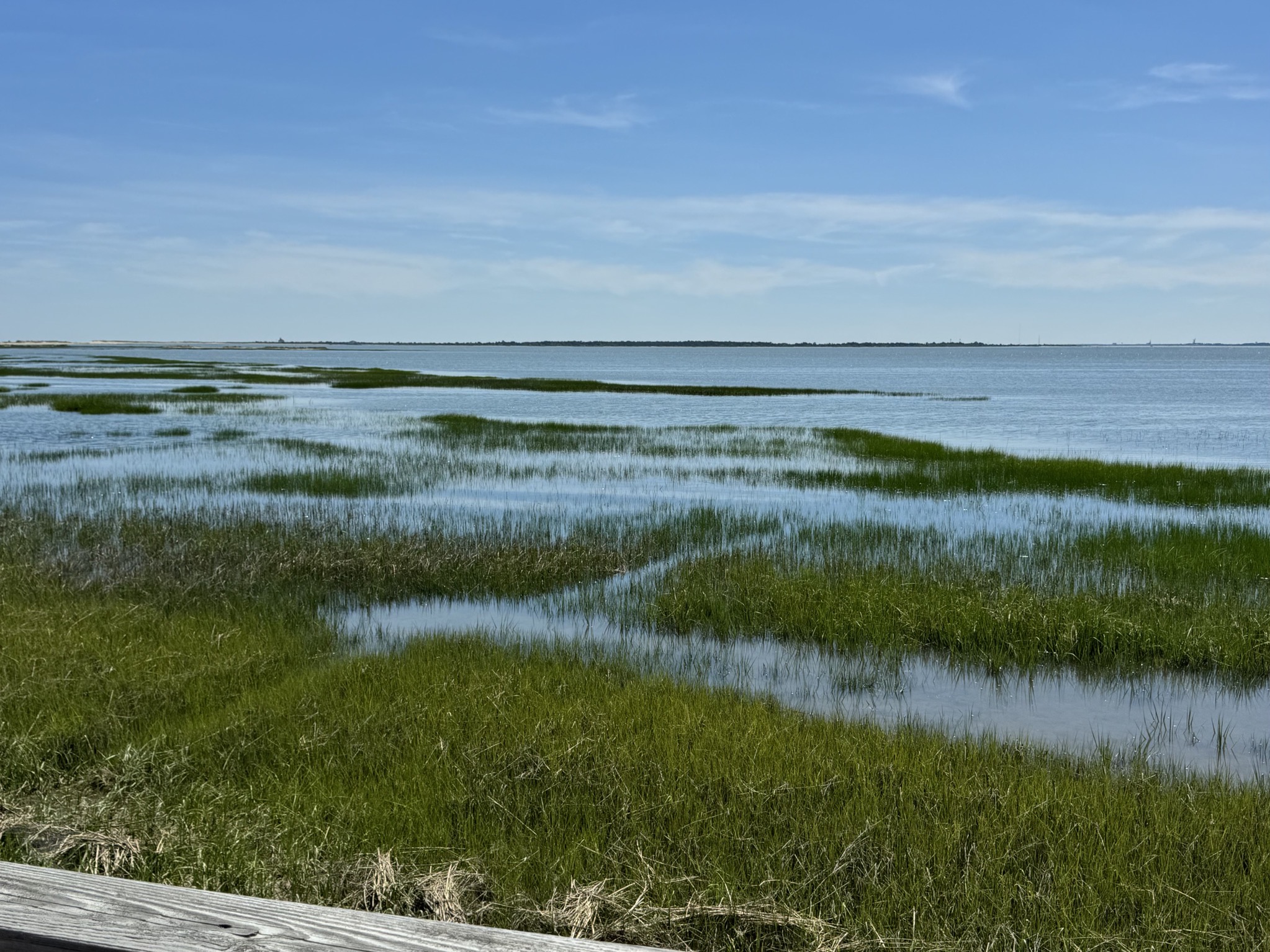 Bay