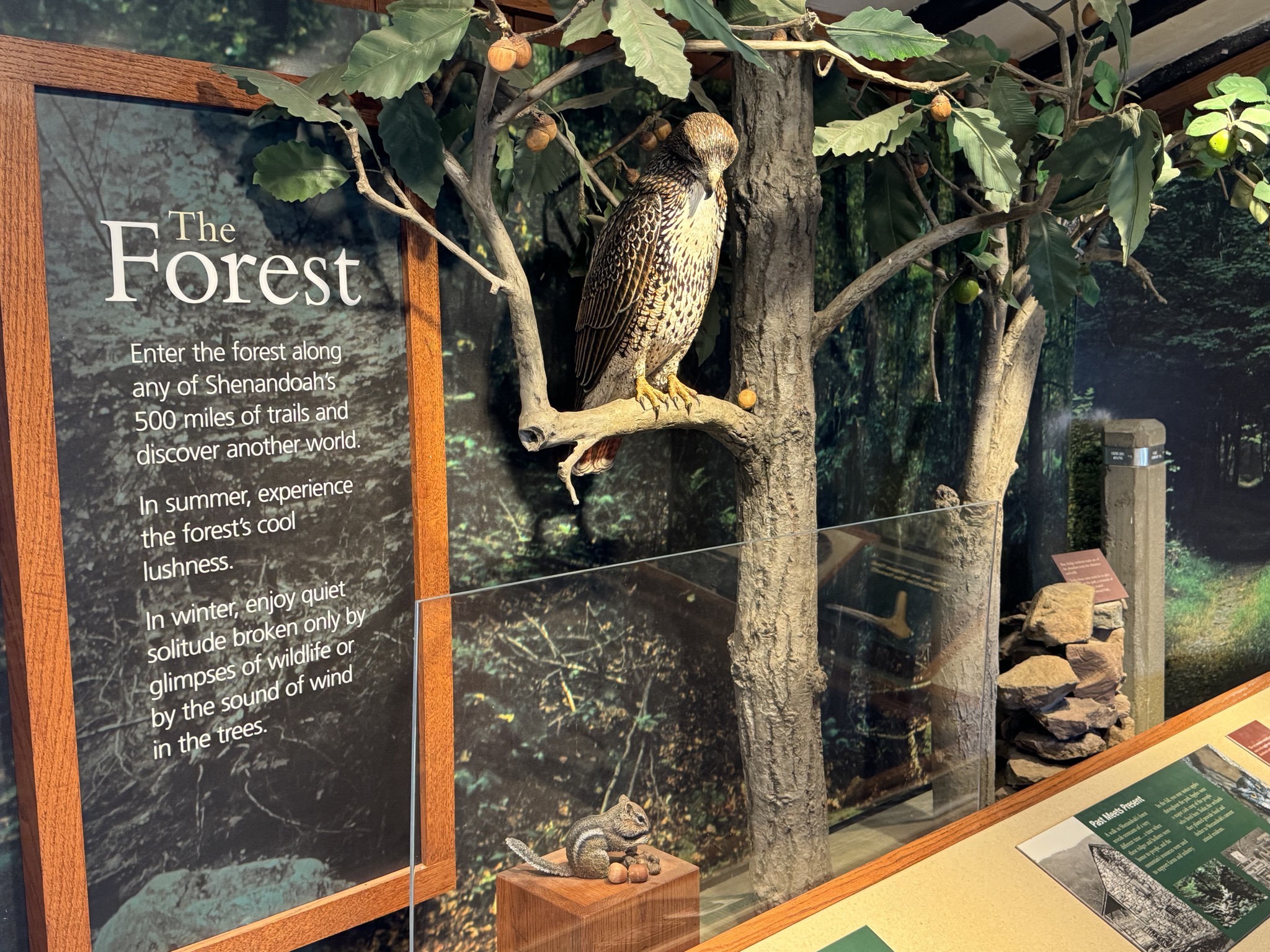 Visitor center