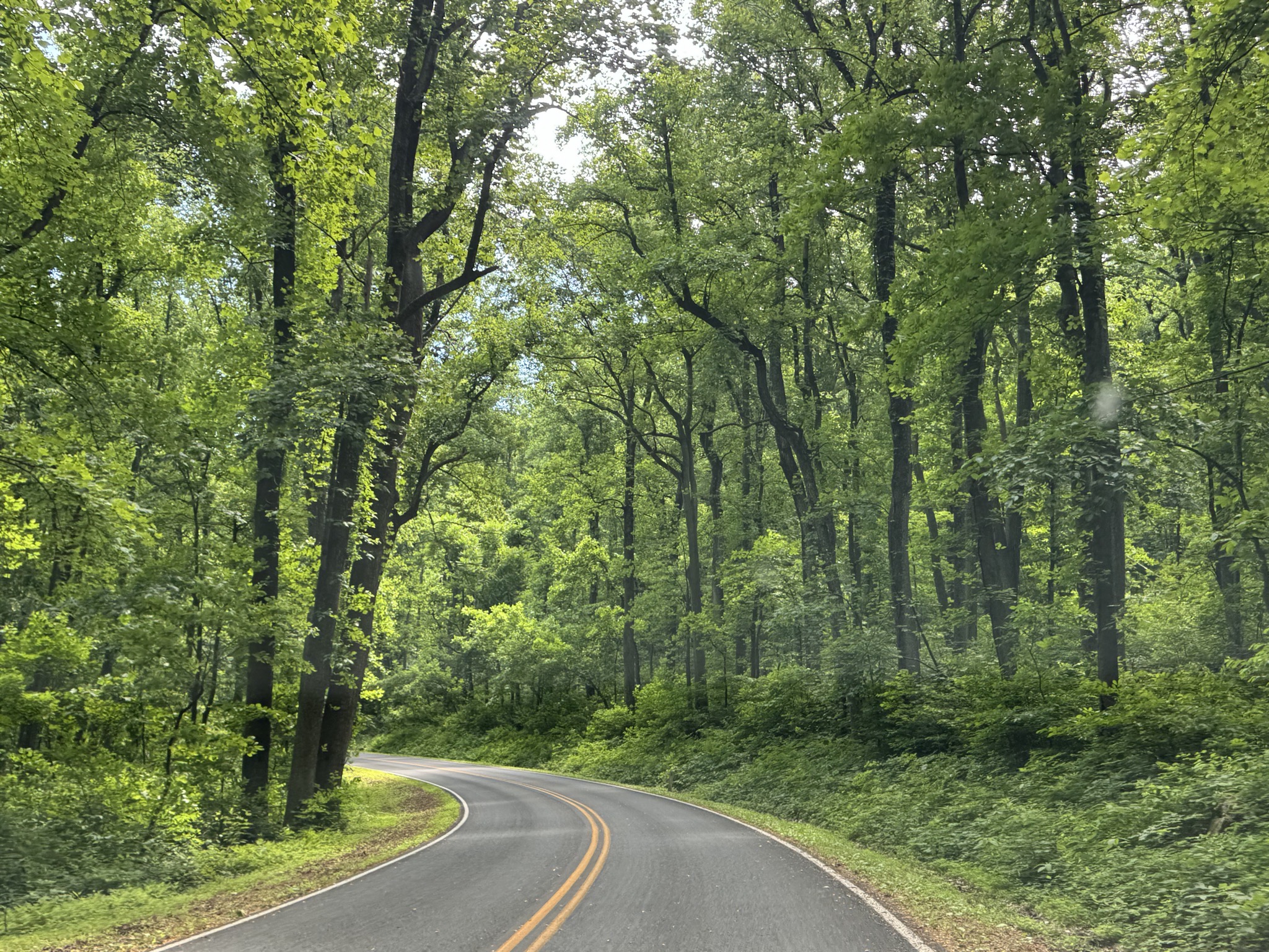 Shenandoah National Park