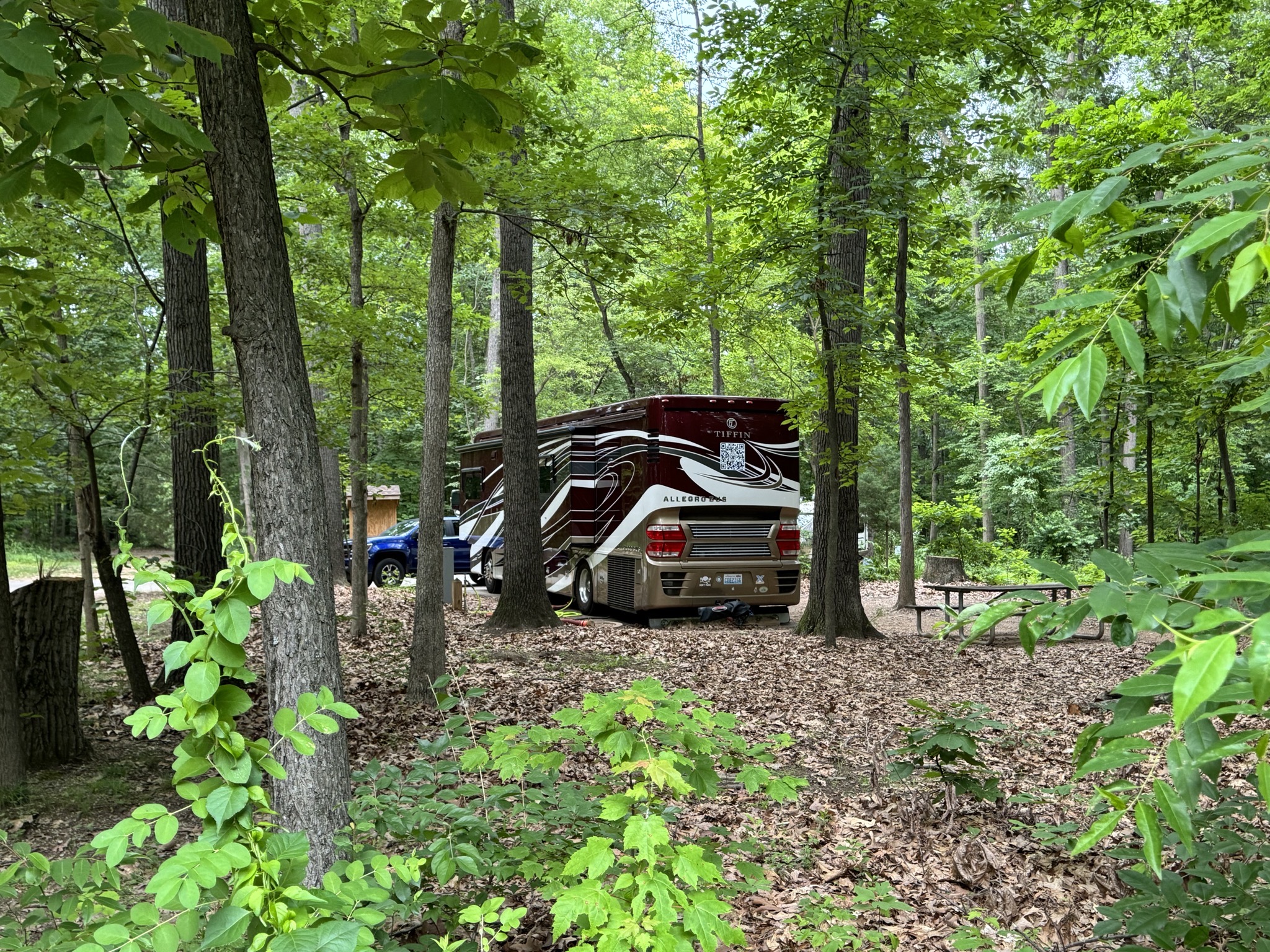 Our site