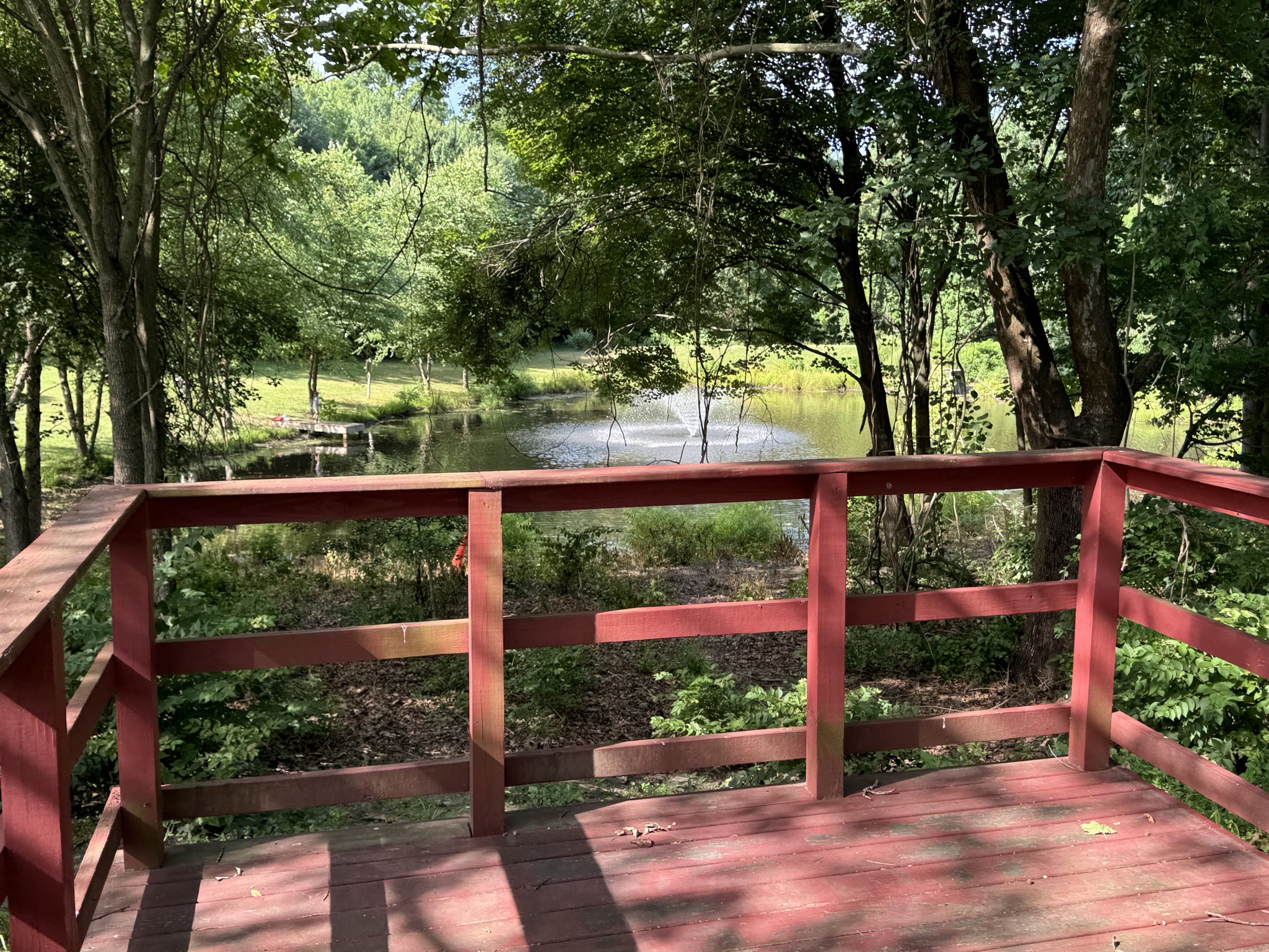 Pond