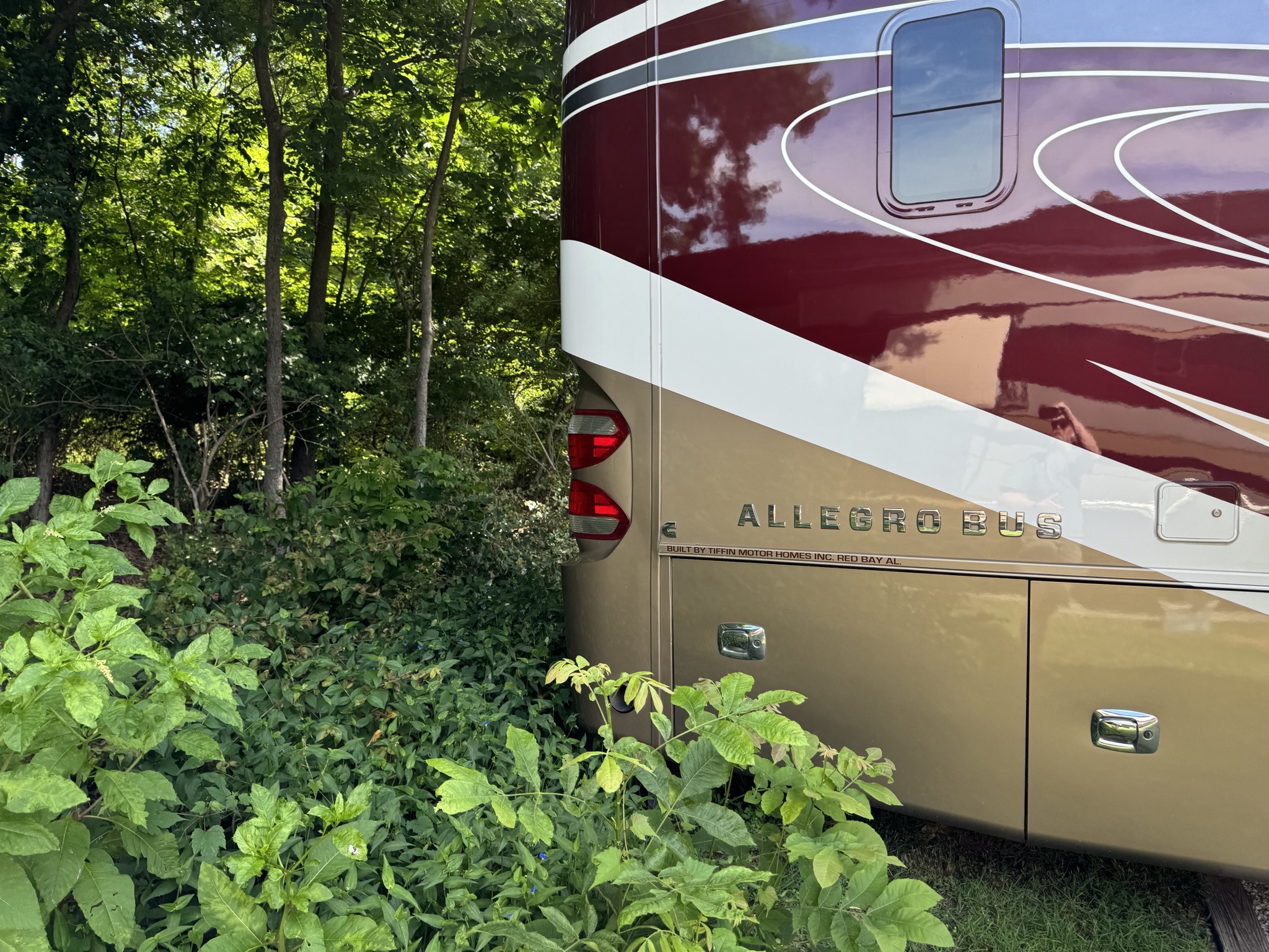Backed into the foliage