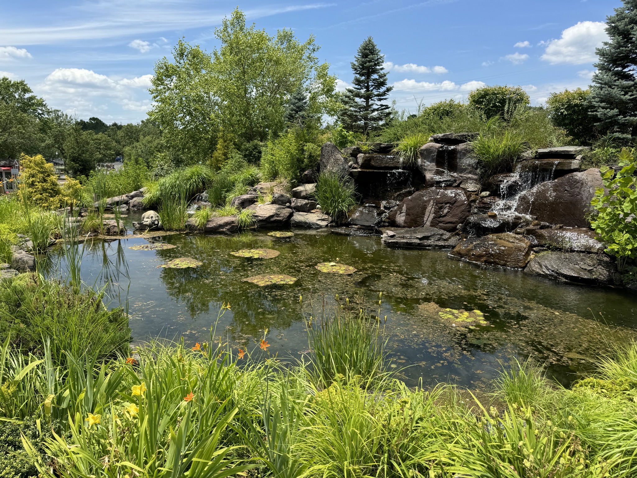 Pond