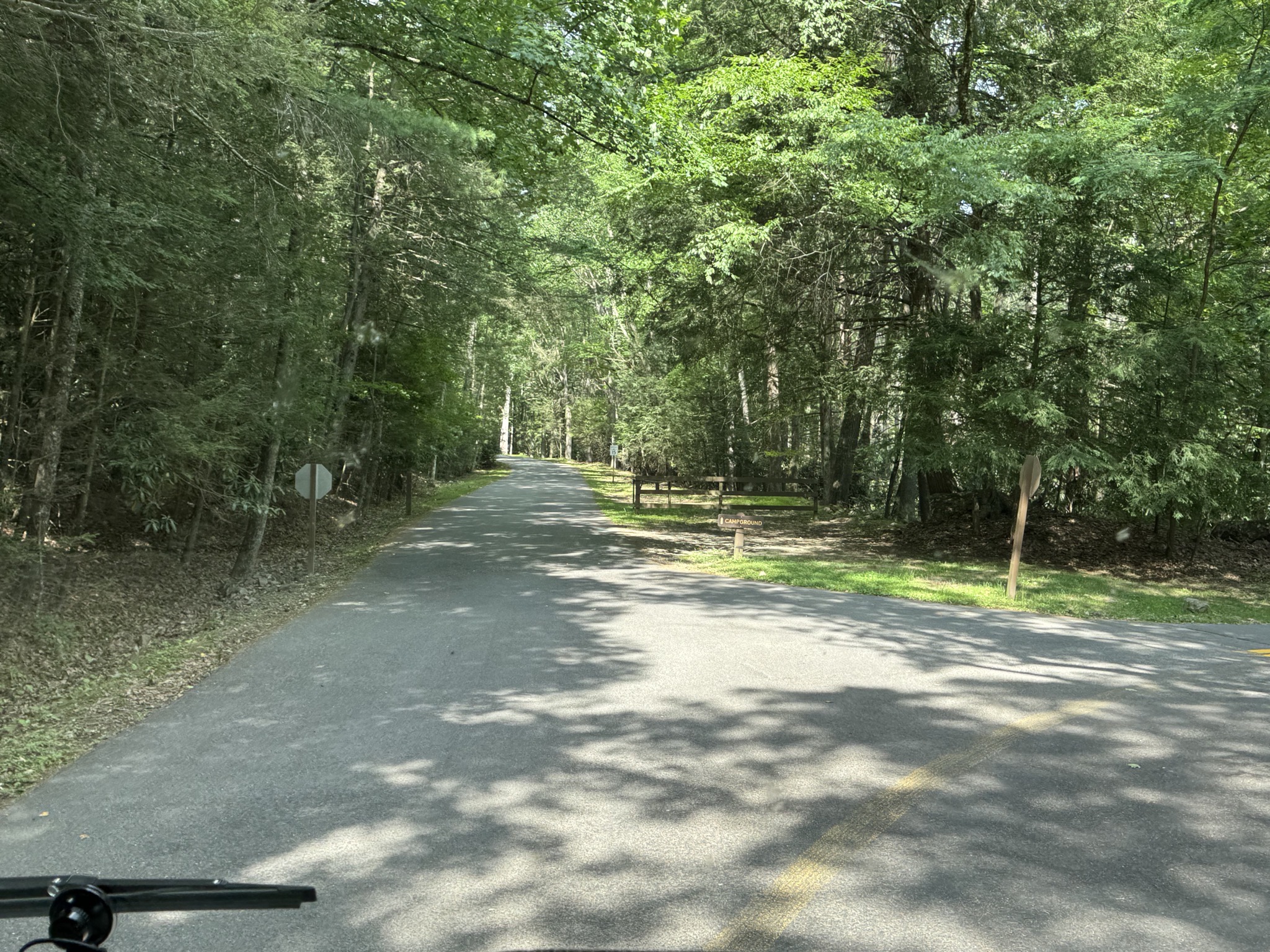 Narrow road to campground