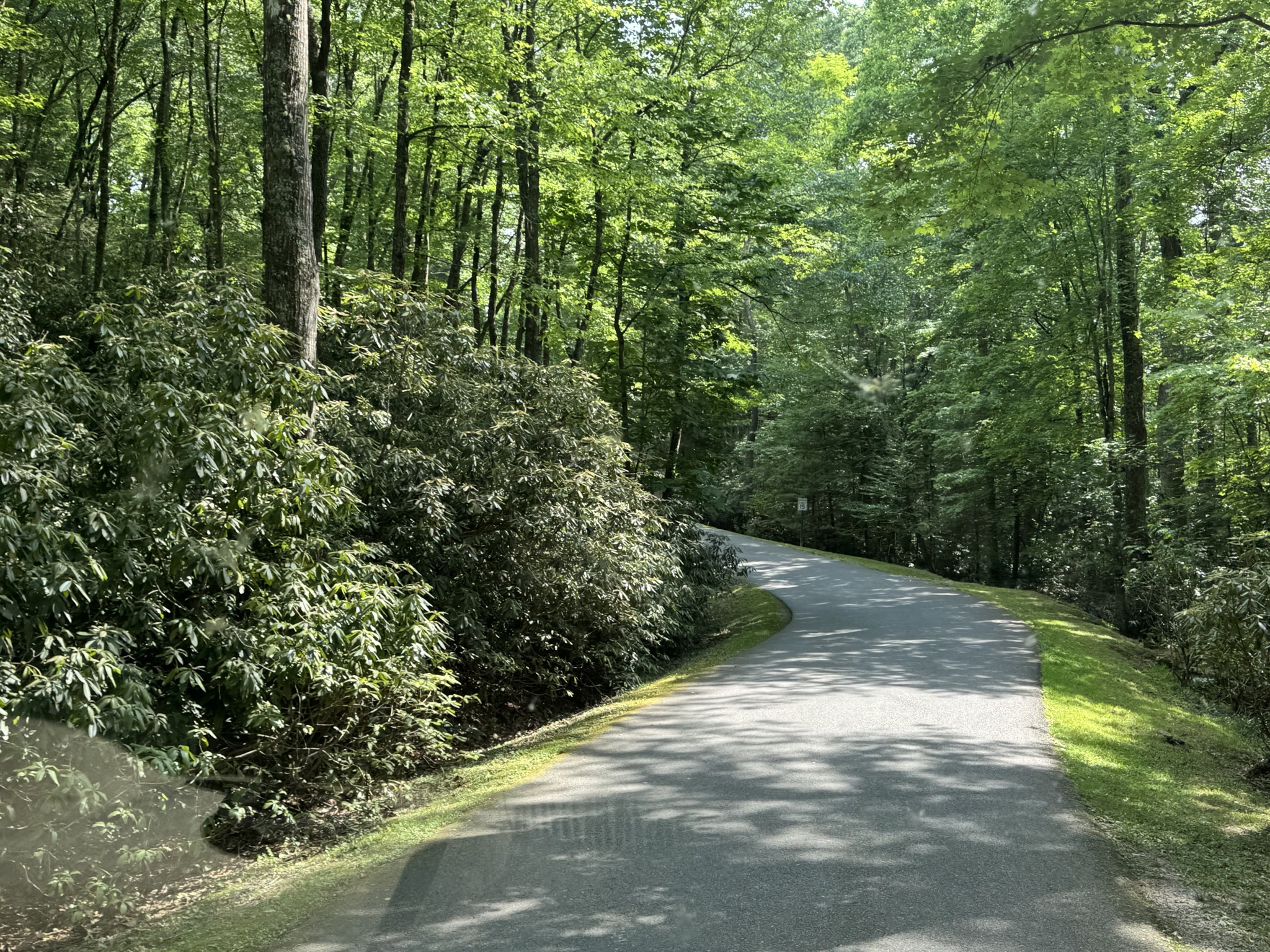 Narrow curvy road