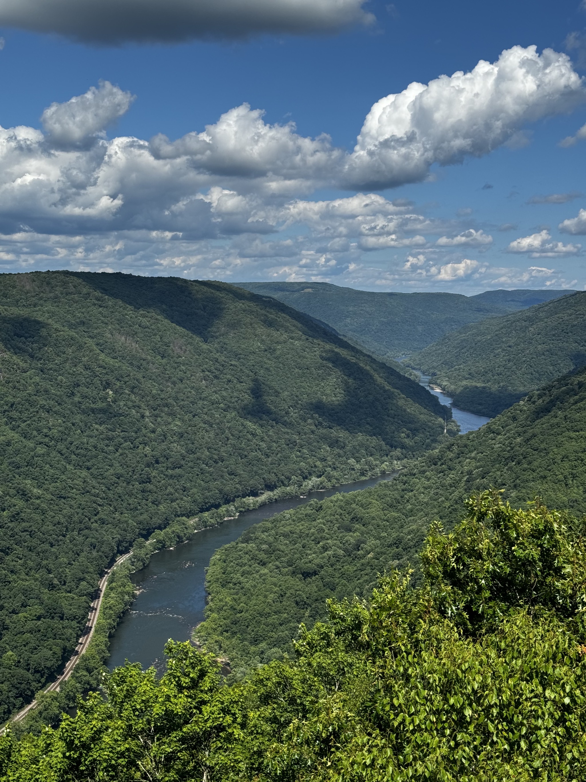 View