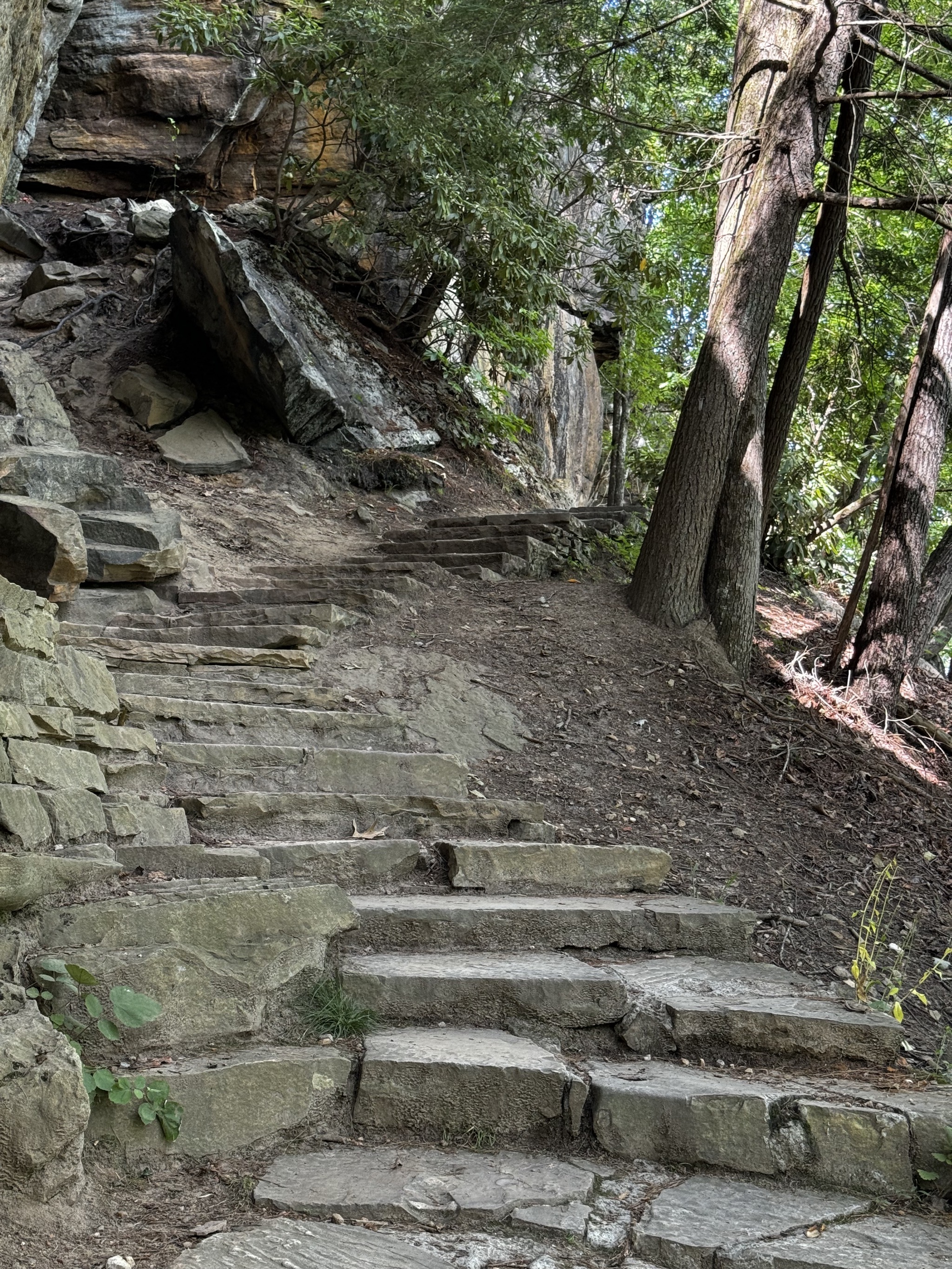 Steps