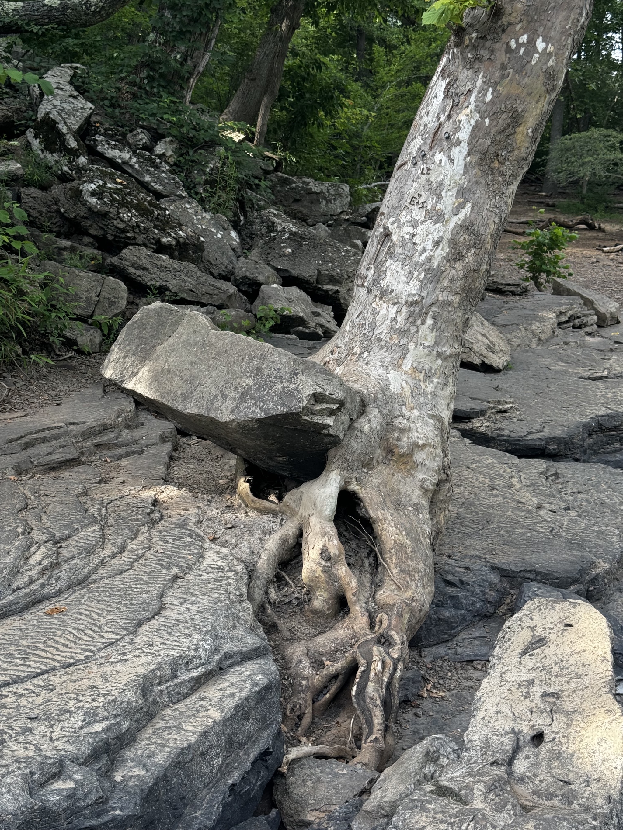 Sandstone Falls