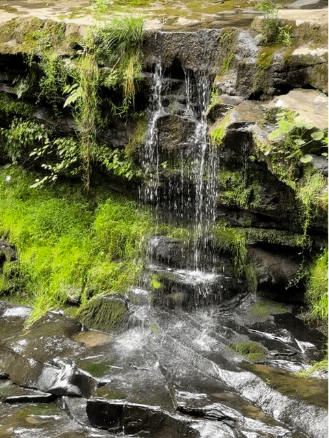 Waterfall