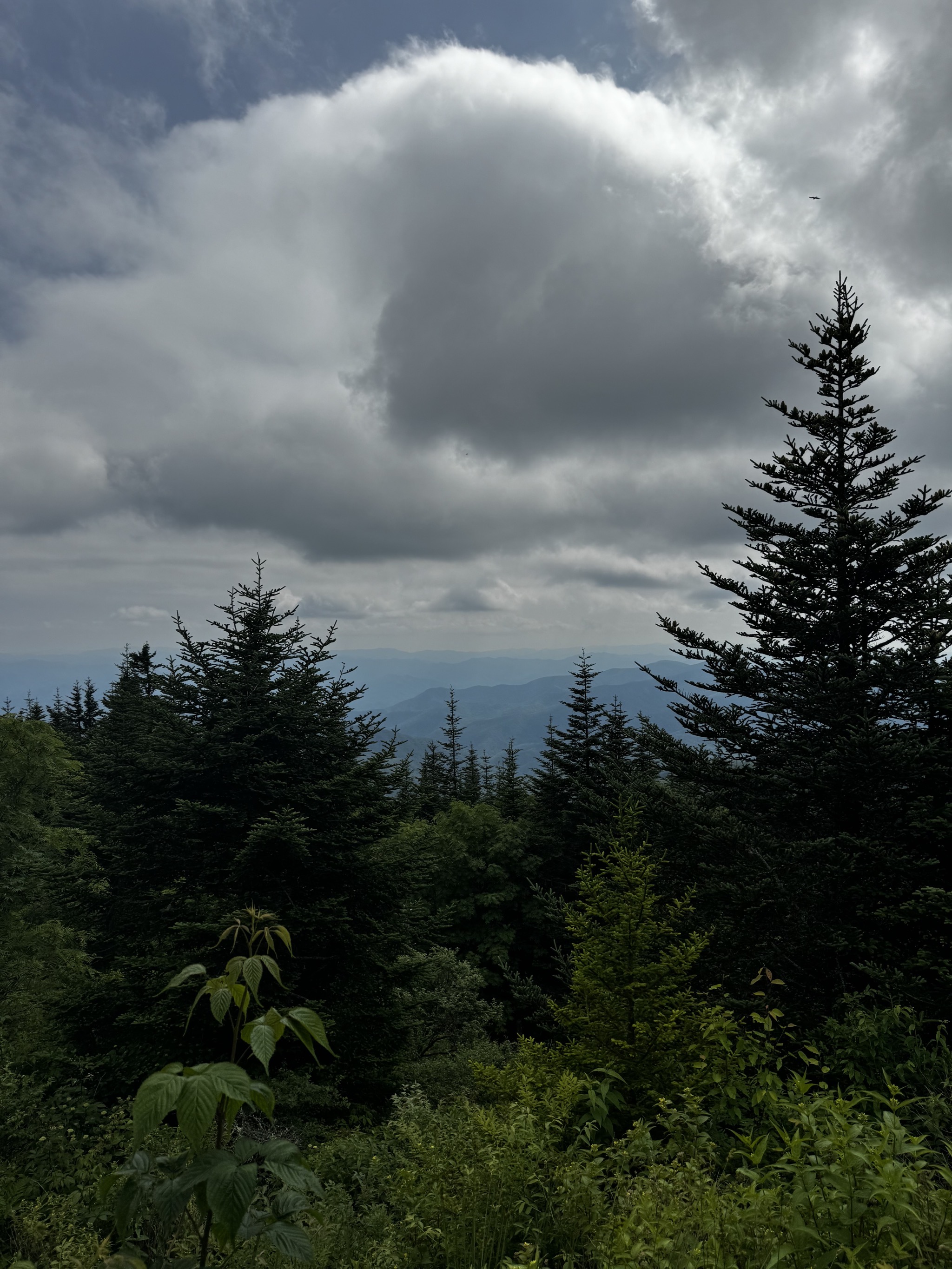 View