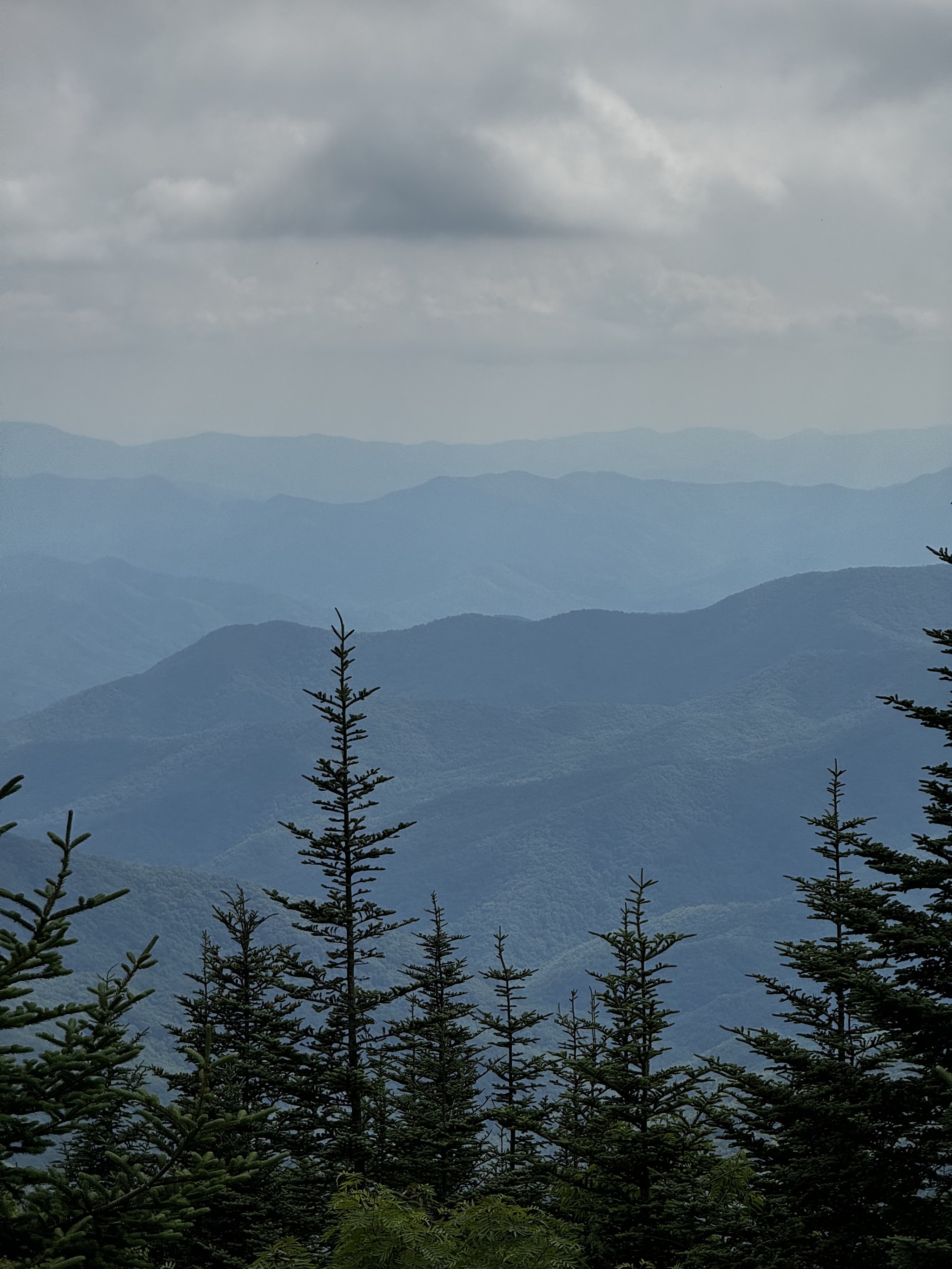 View