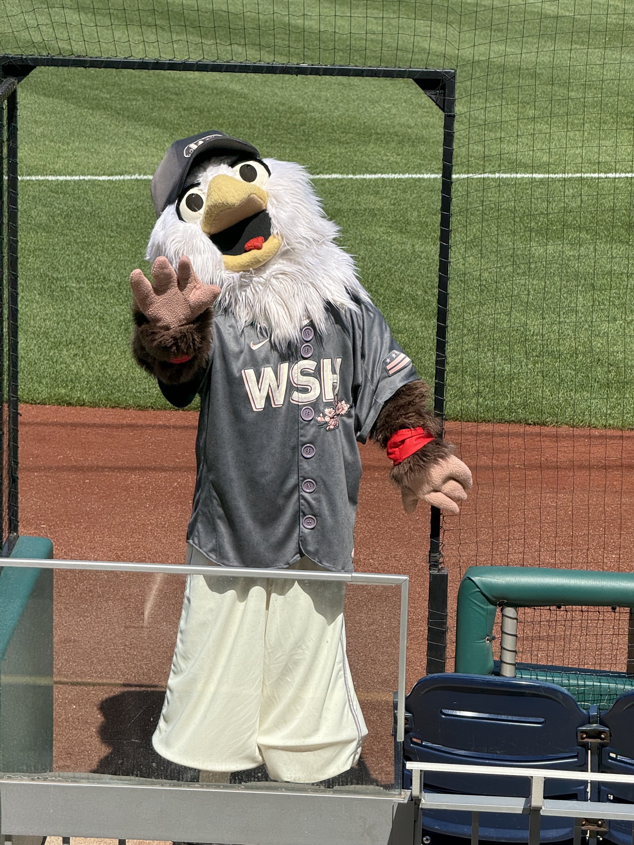 Mascot