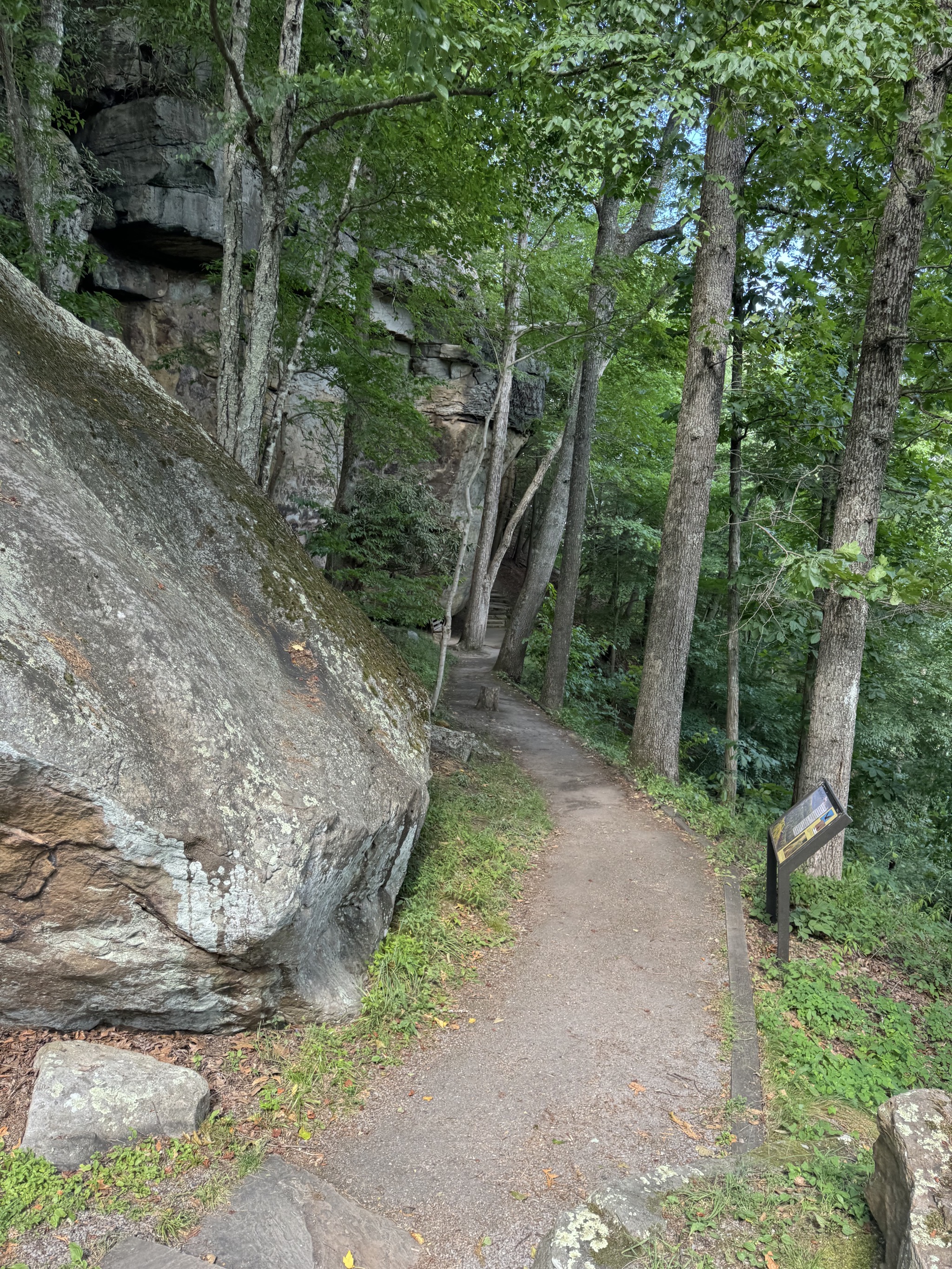 Path