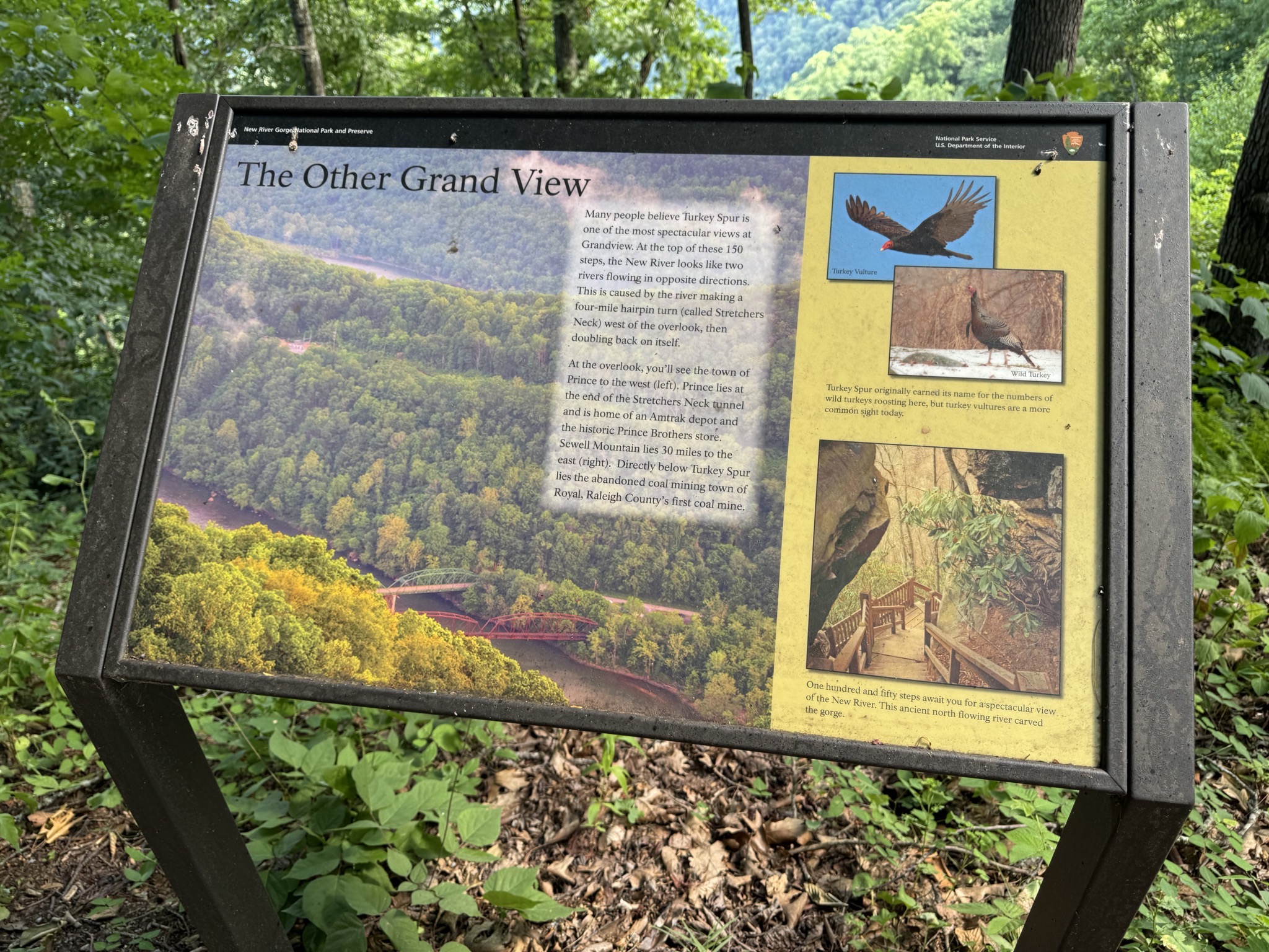 The Other Grand View