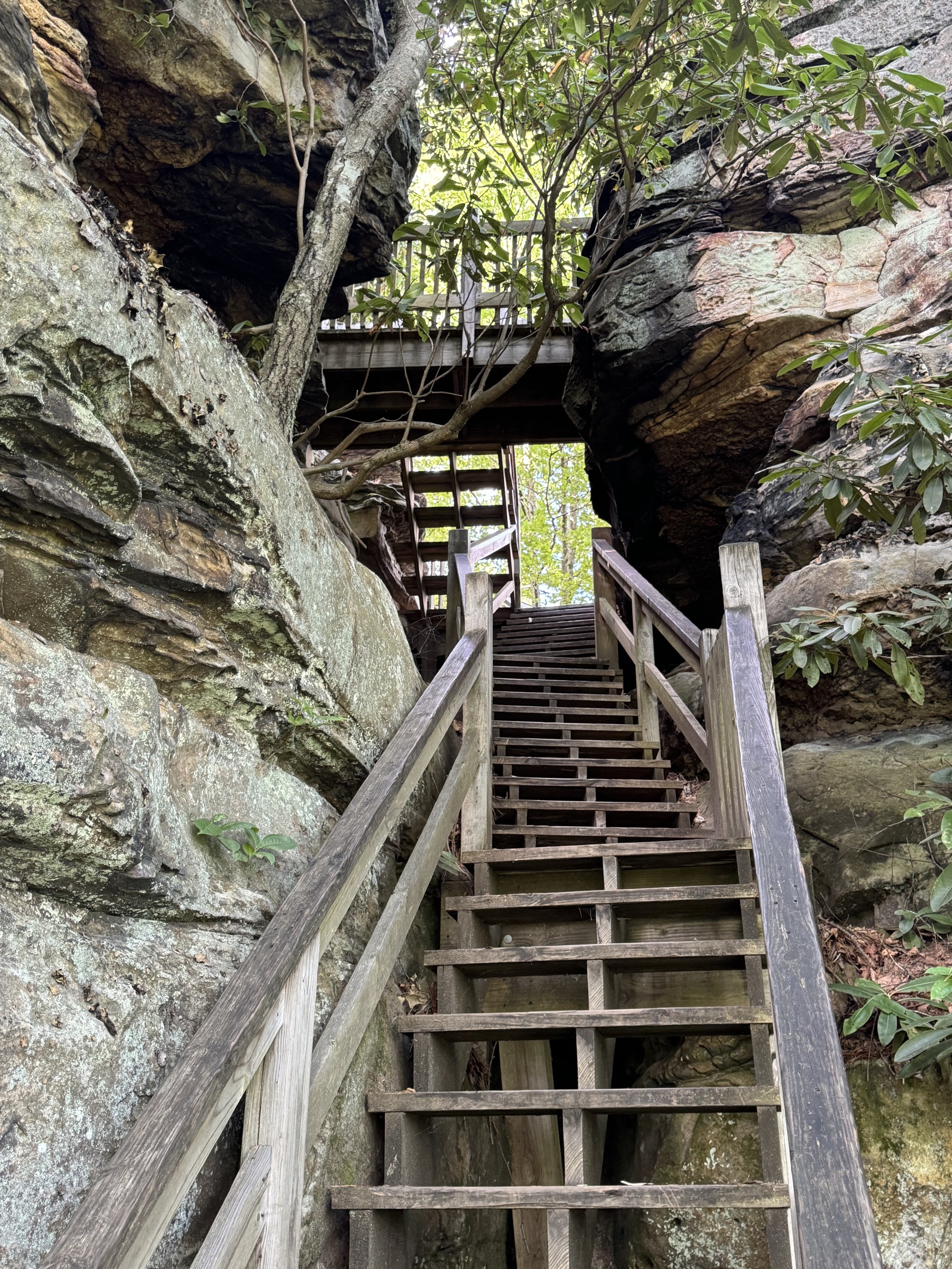 Steps