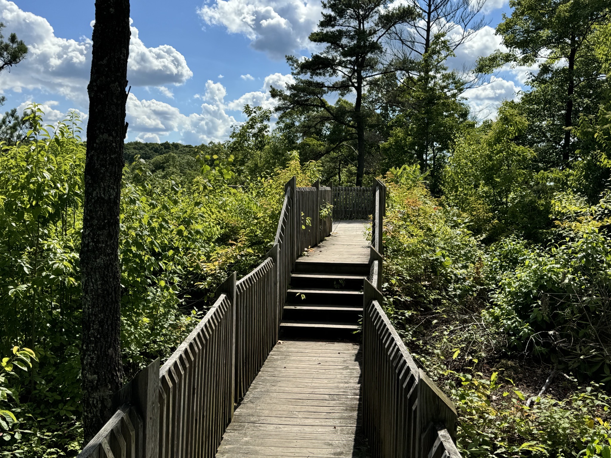 Steps