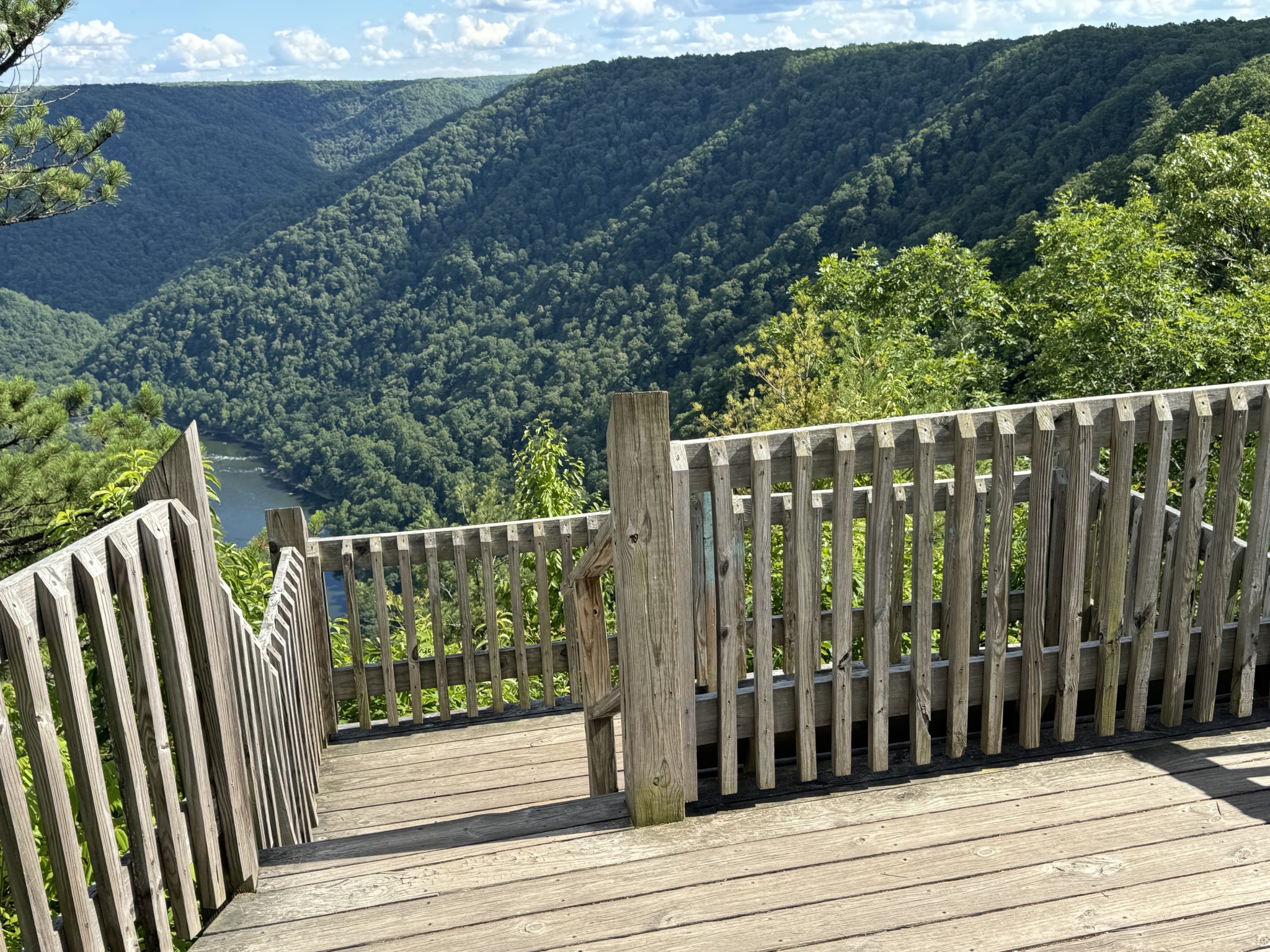 Steps