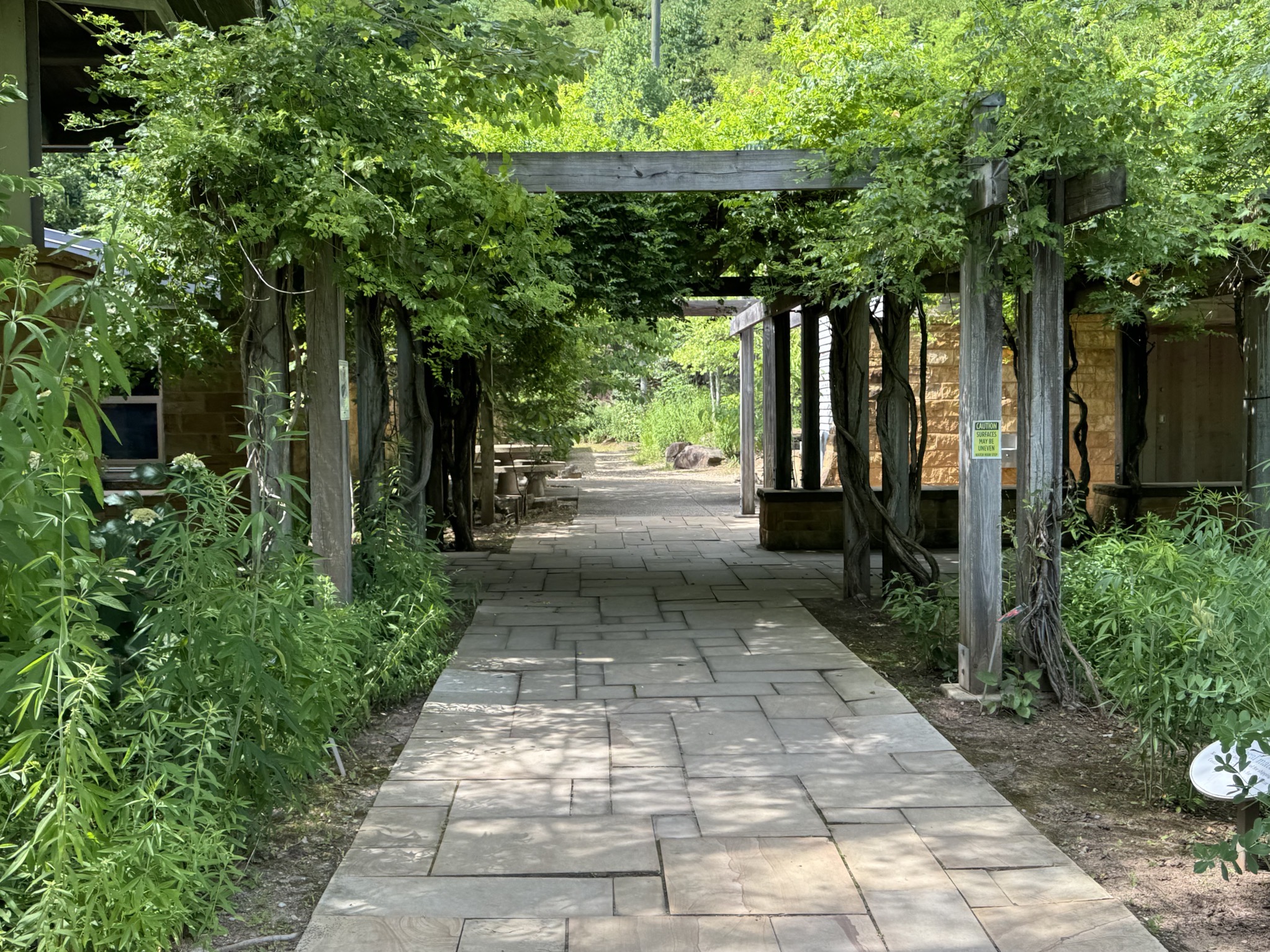 Path