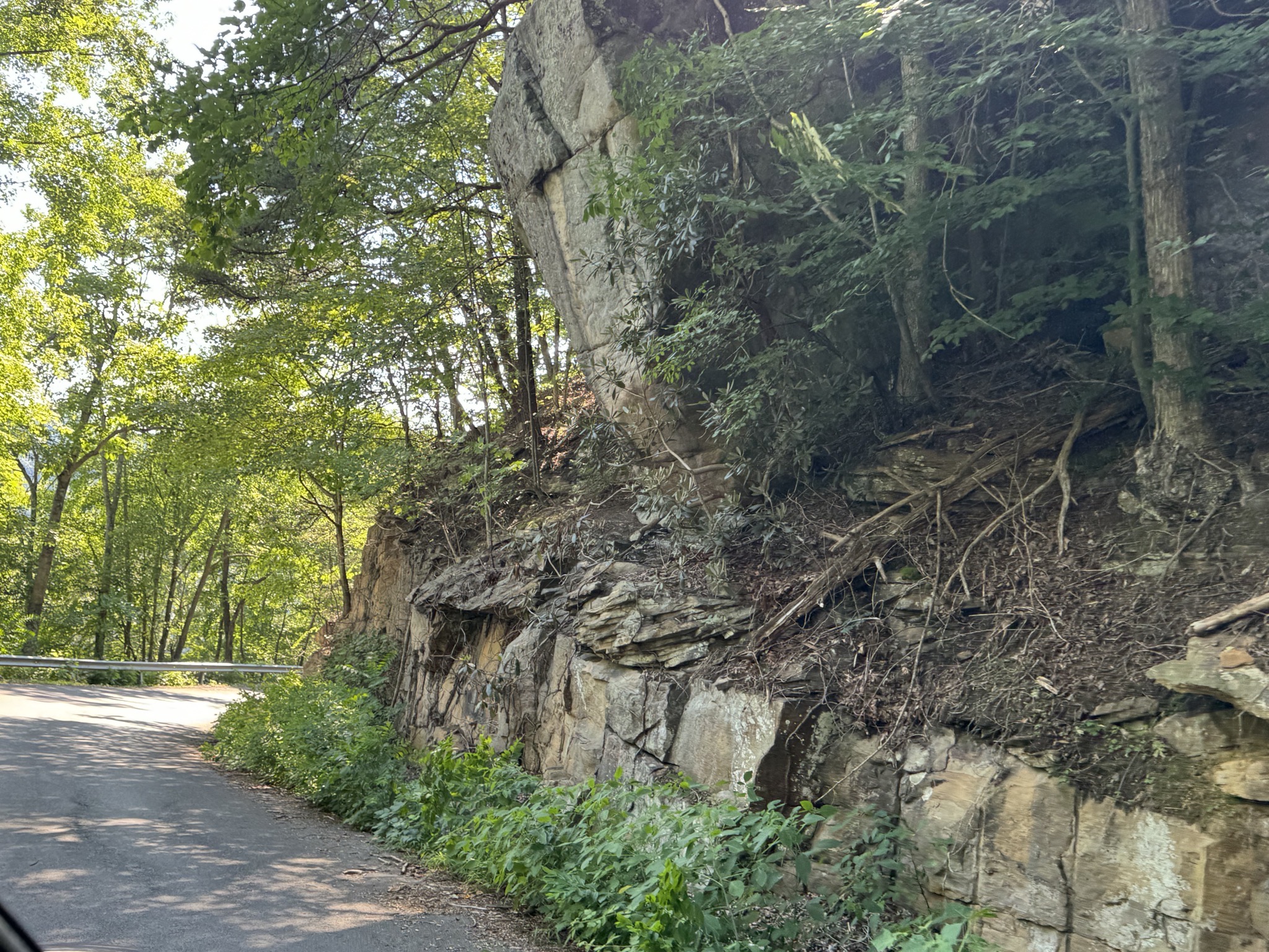 Narrow road