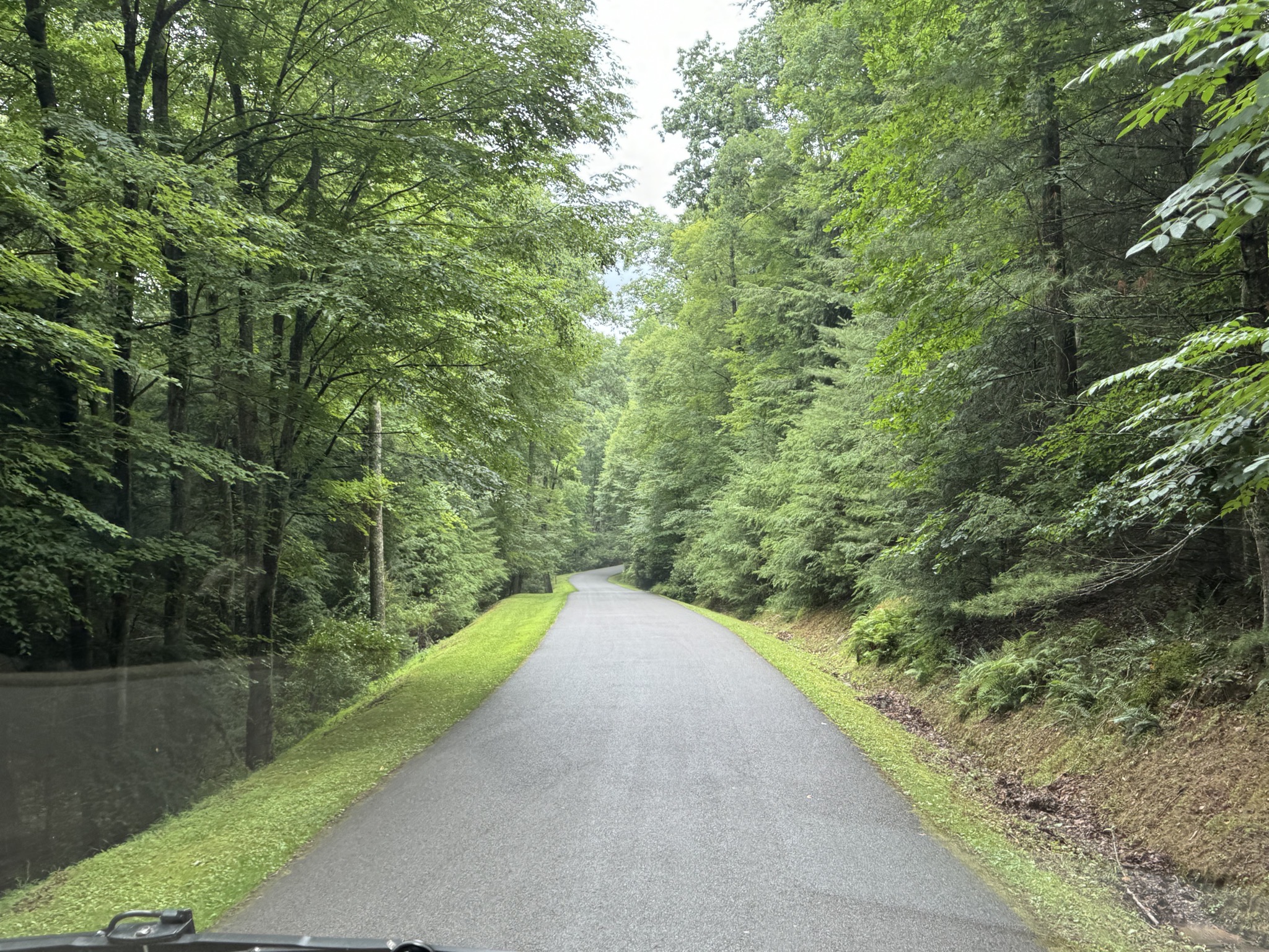 Narrow road