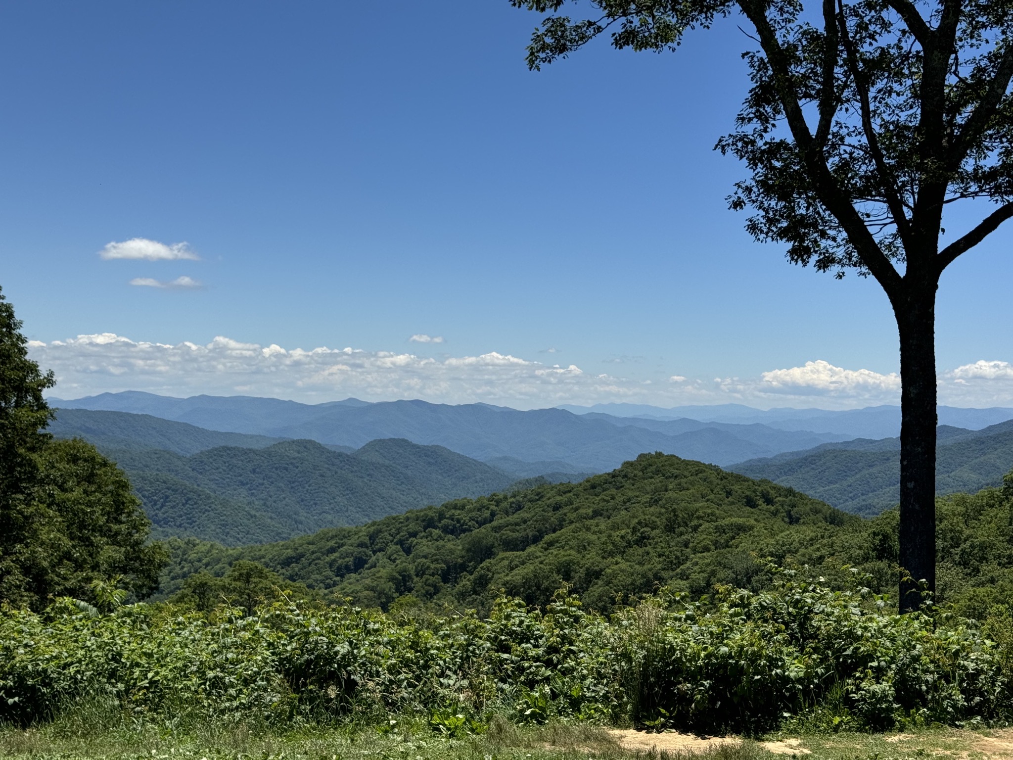 View