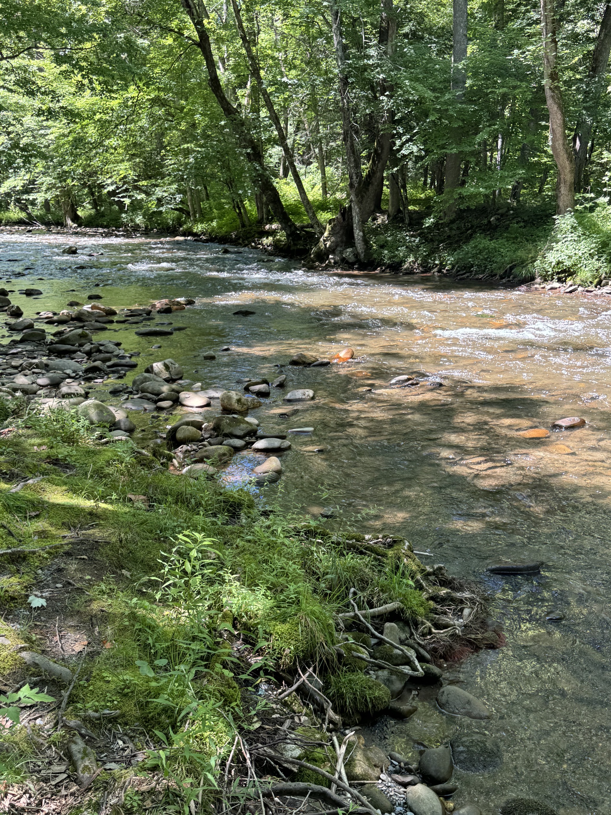 Stream