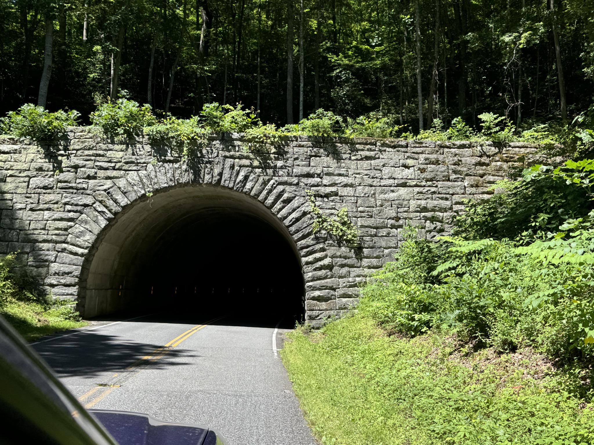 Tunnel