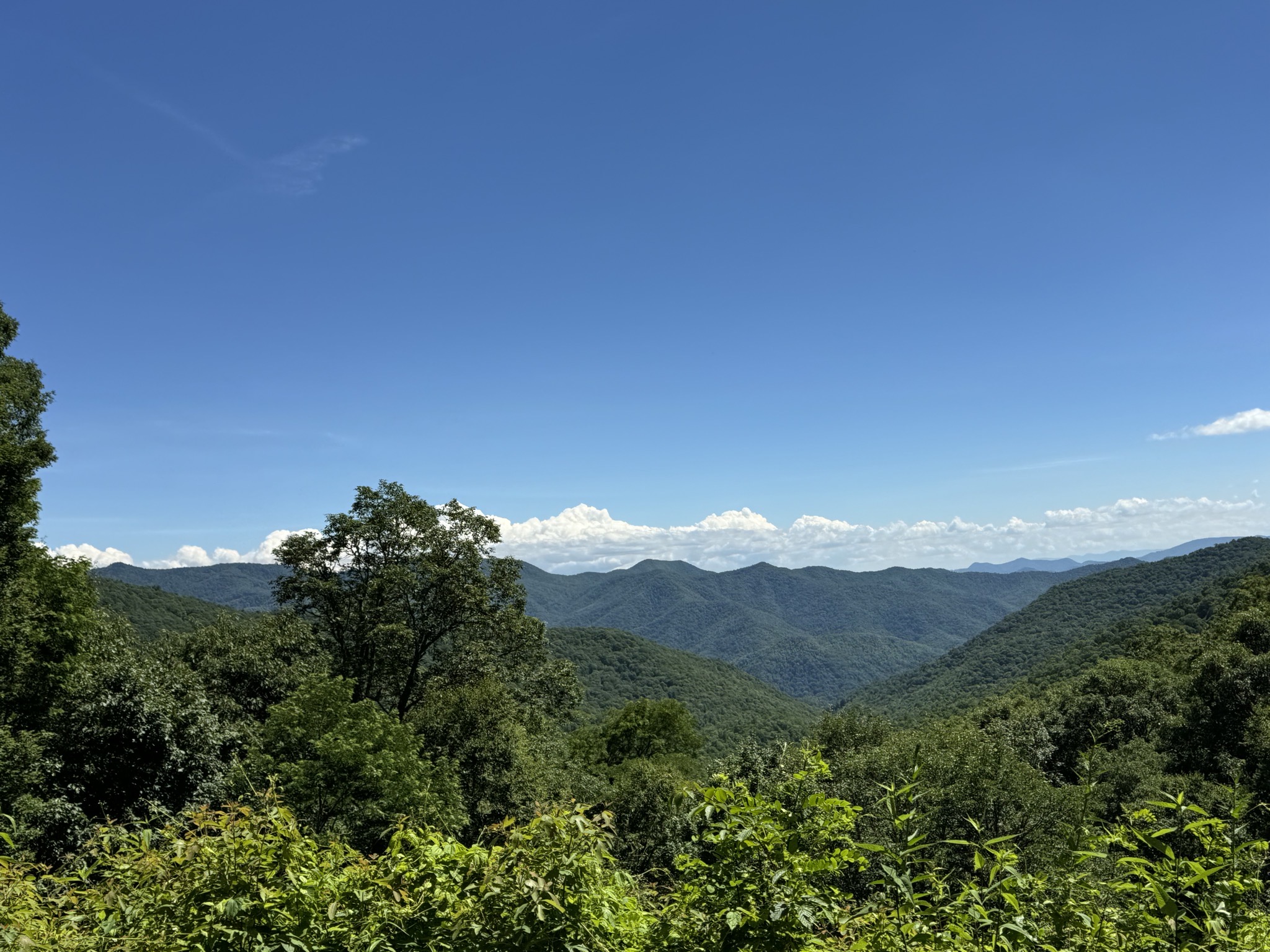 View