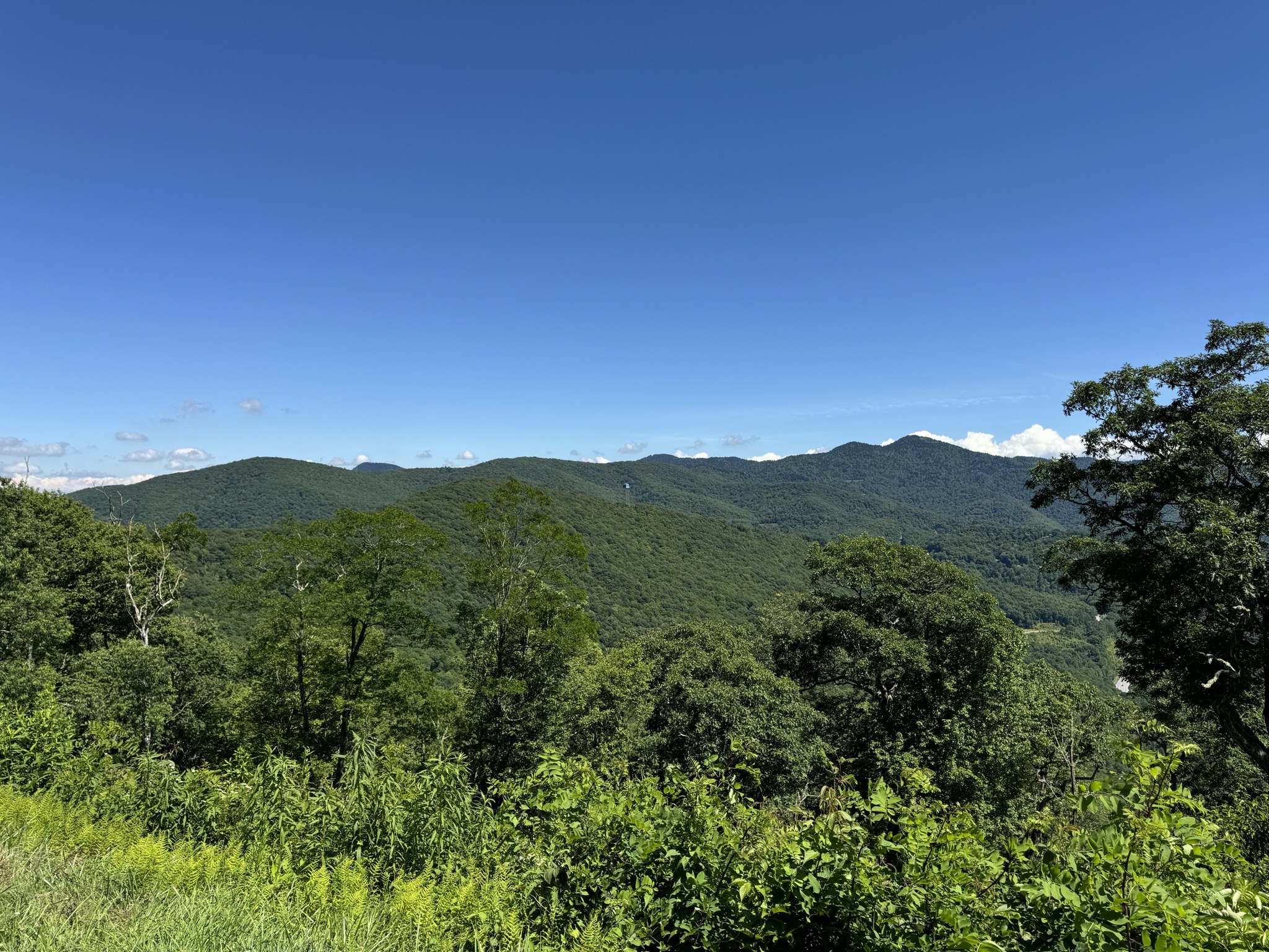 View