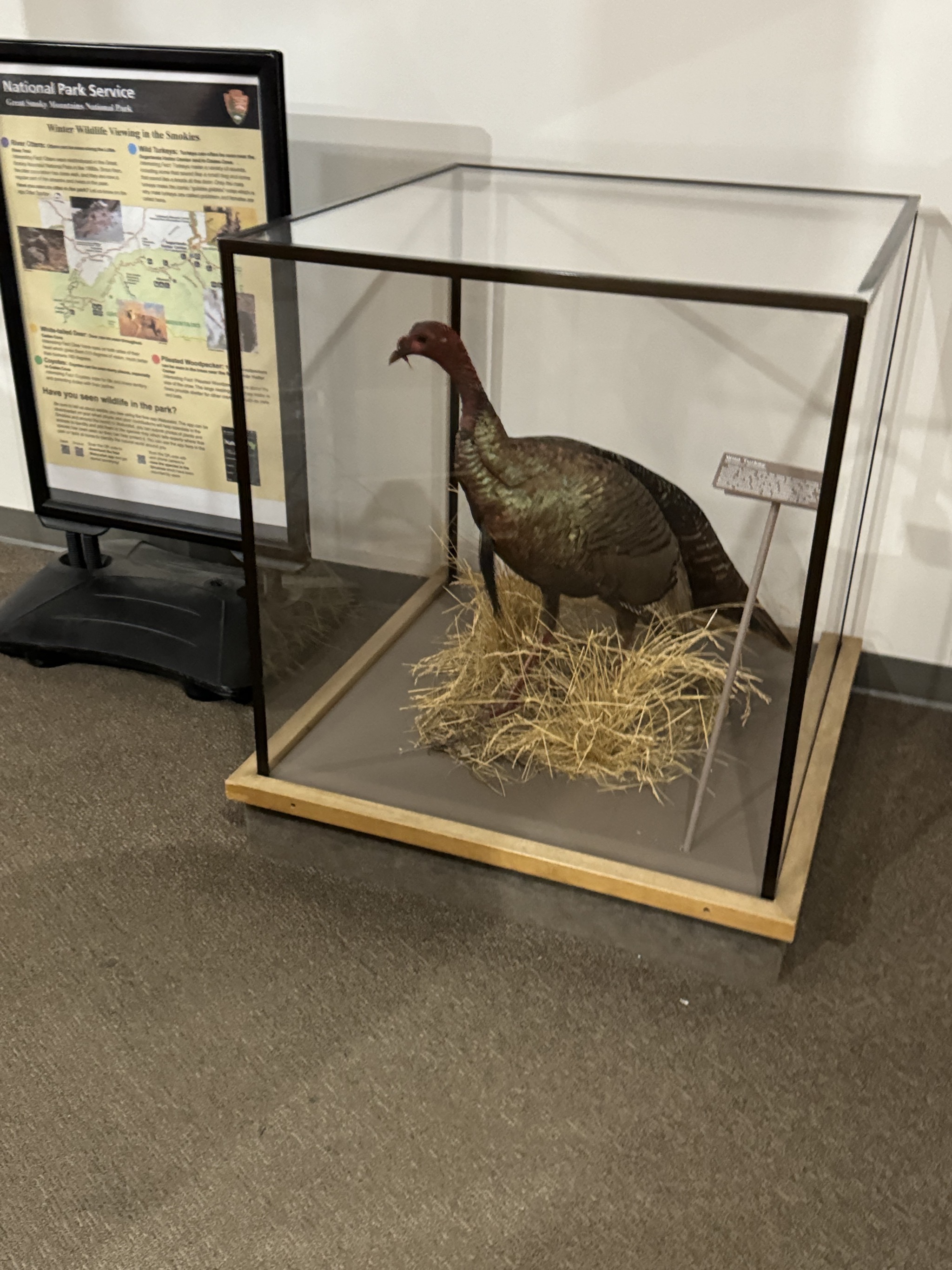 Exhibits