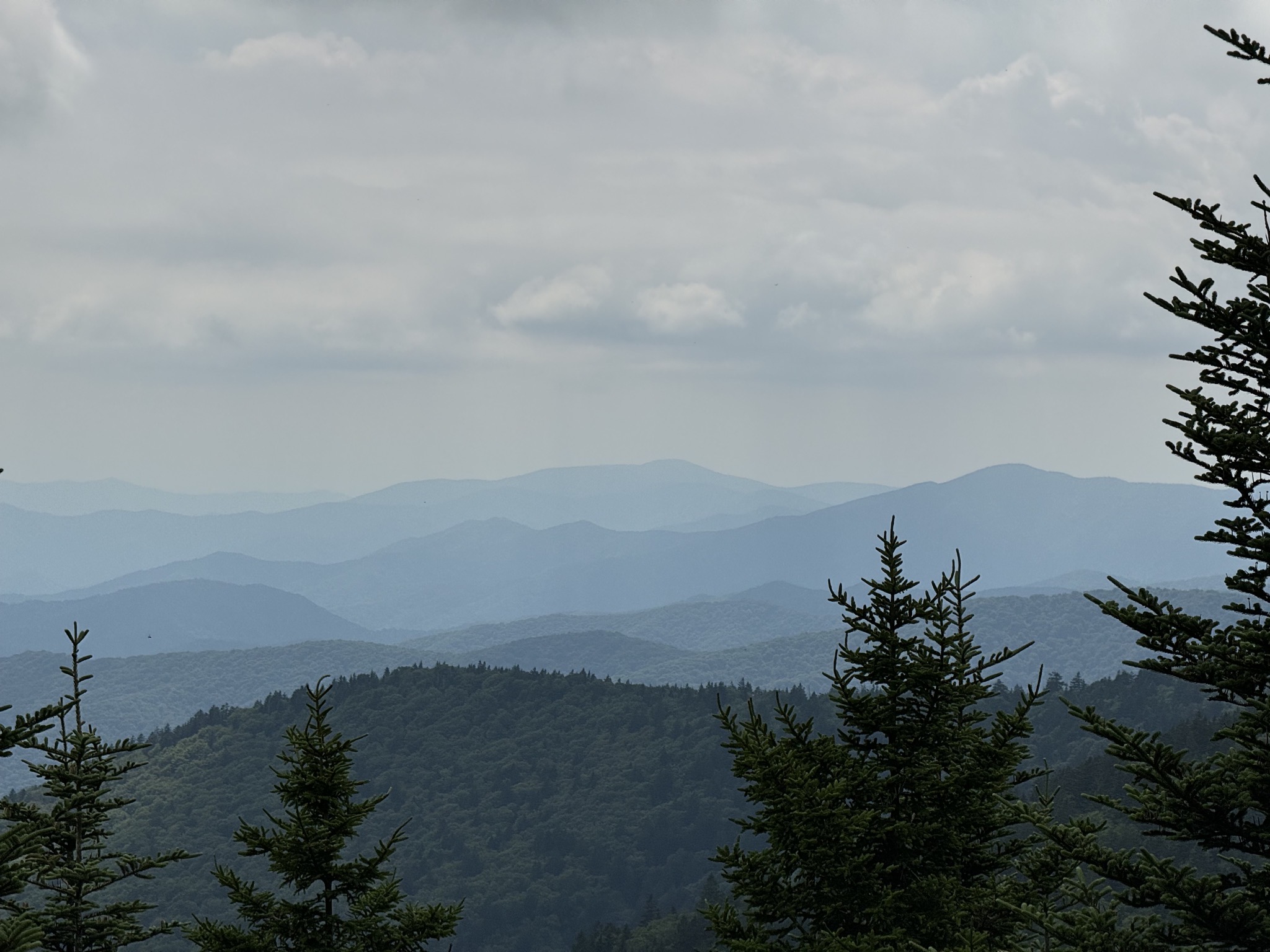 View