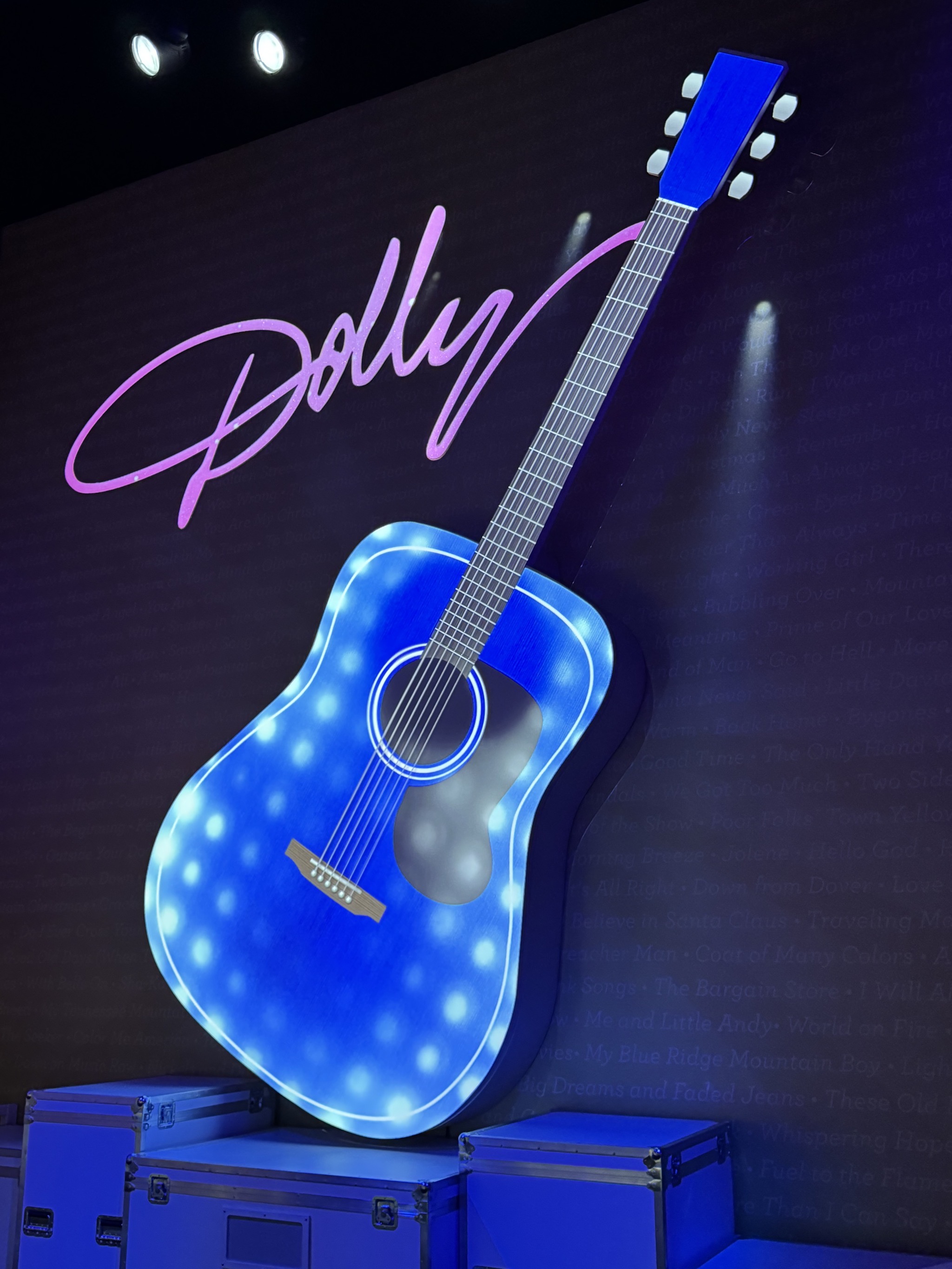 The Dolly Parton Experience