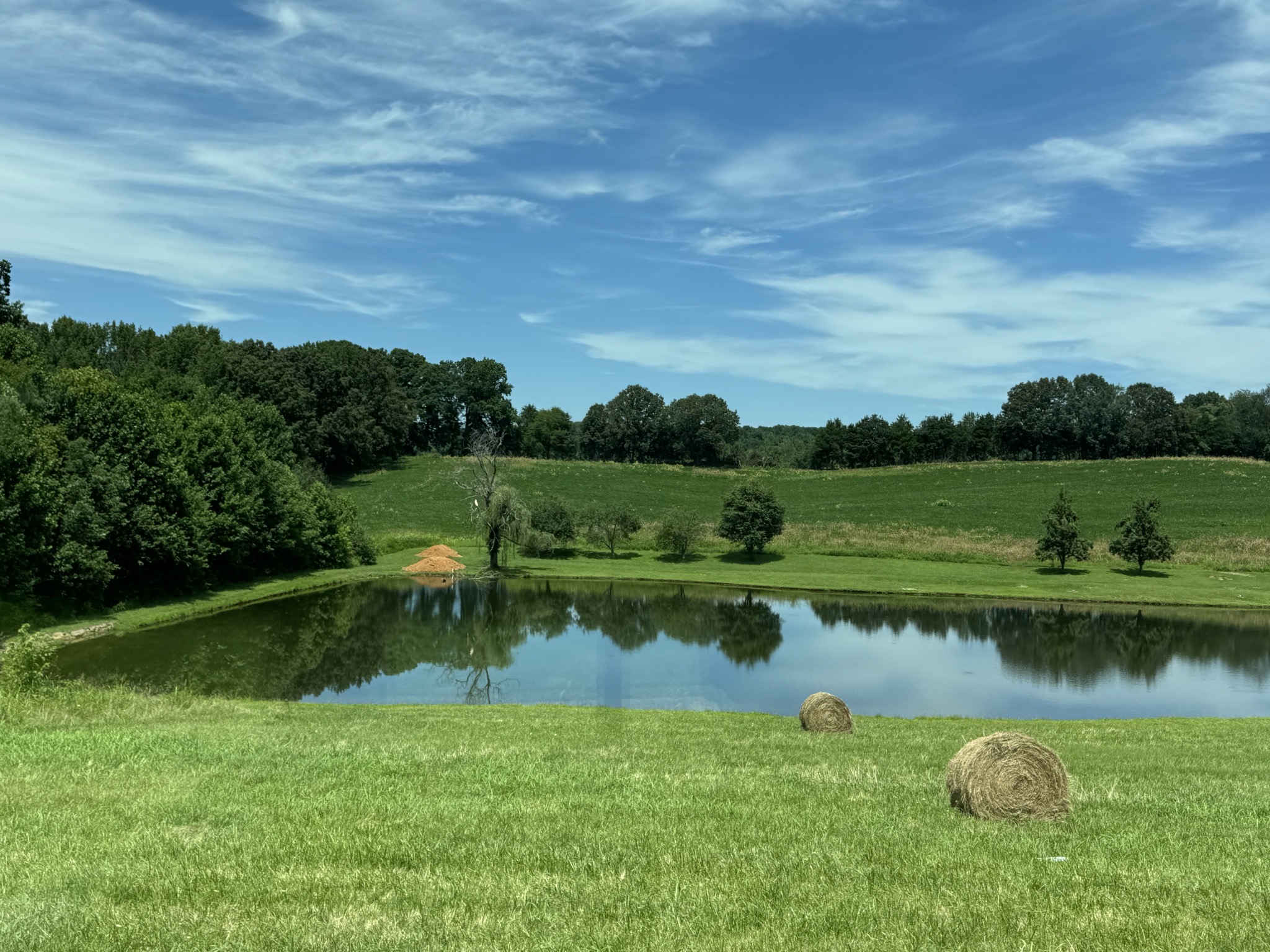 Pond