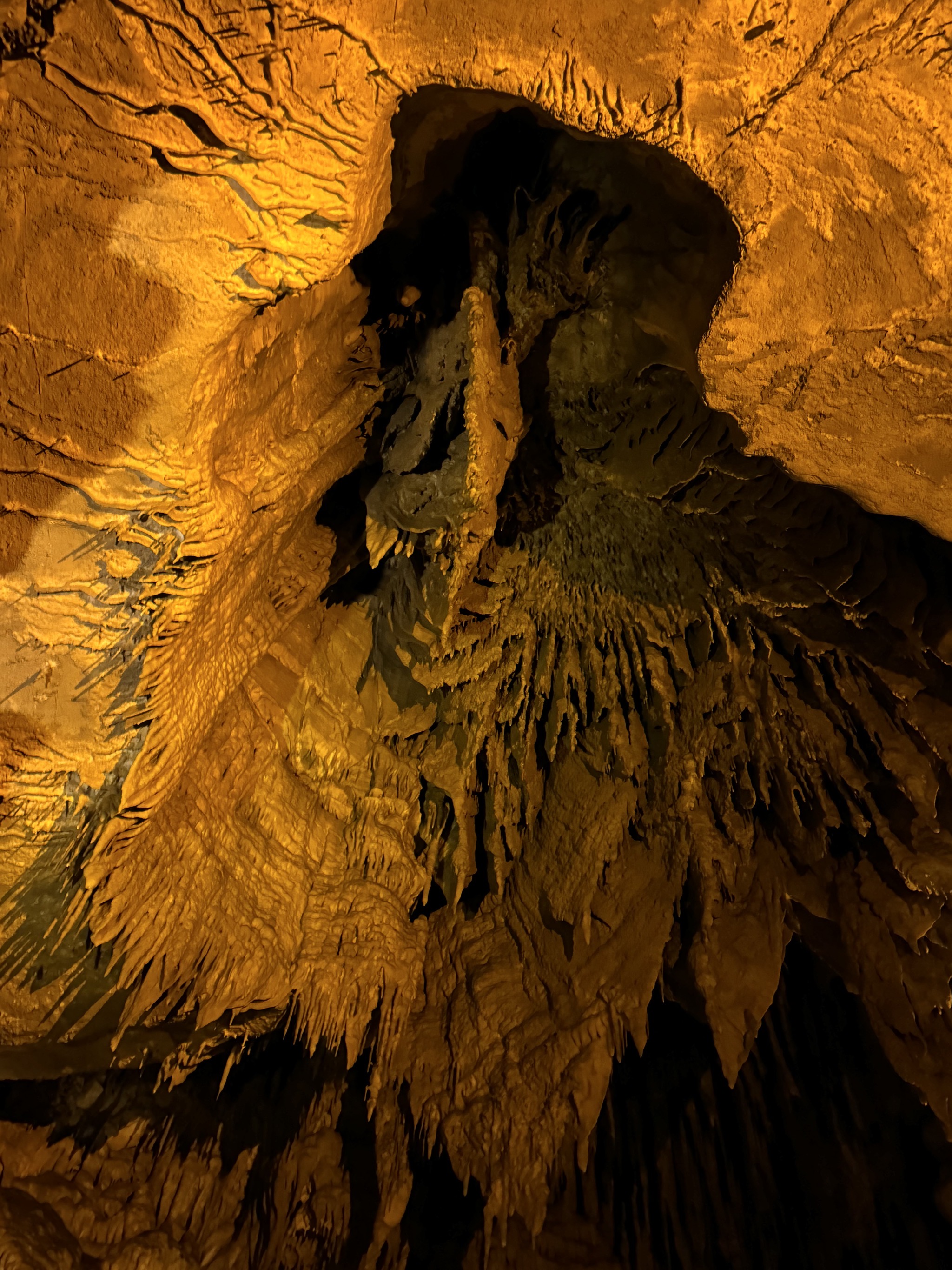 Formations
