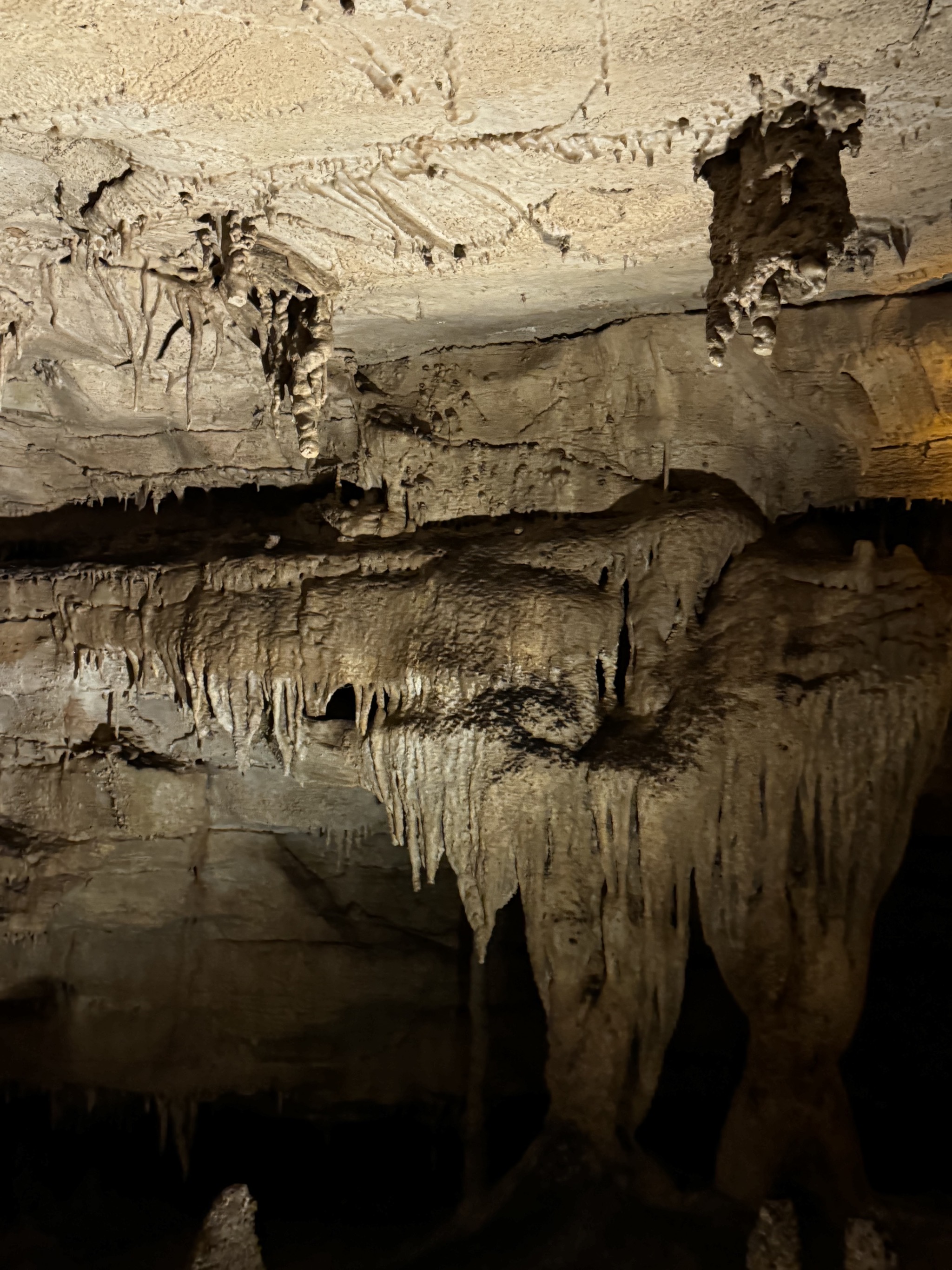 Mammoth Cave National Park – Sinclair Trails