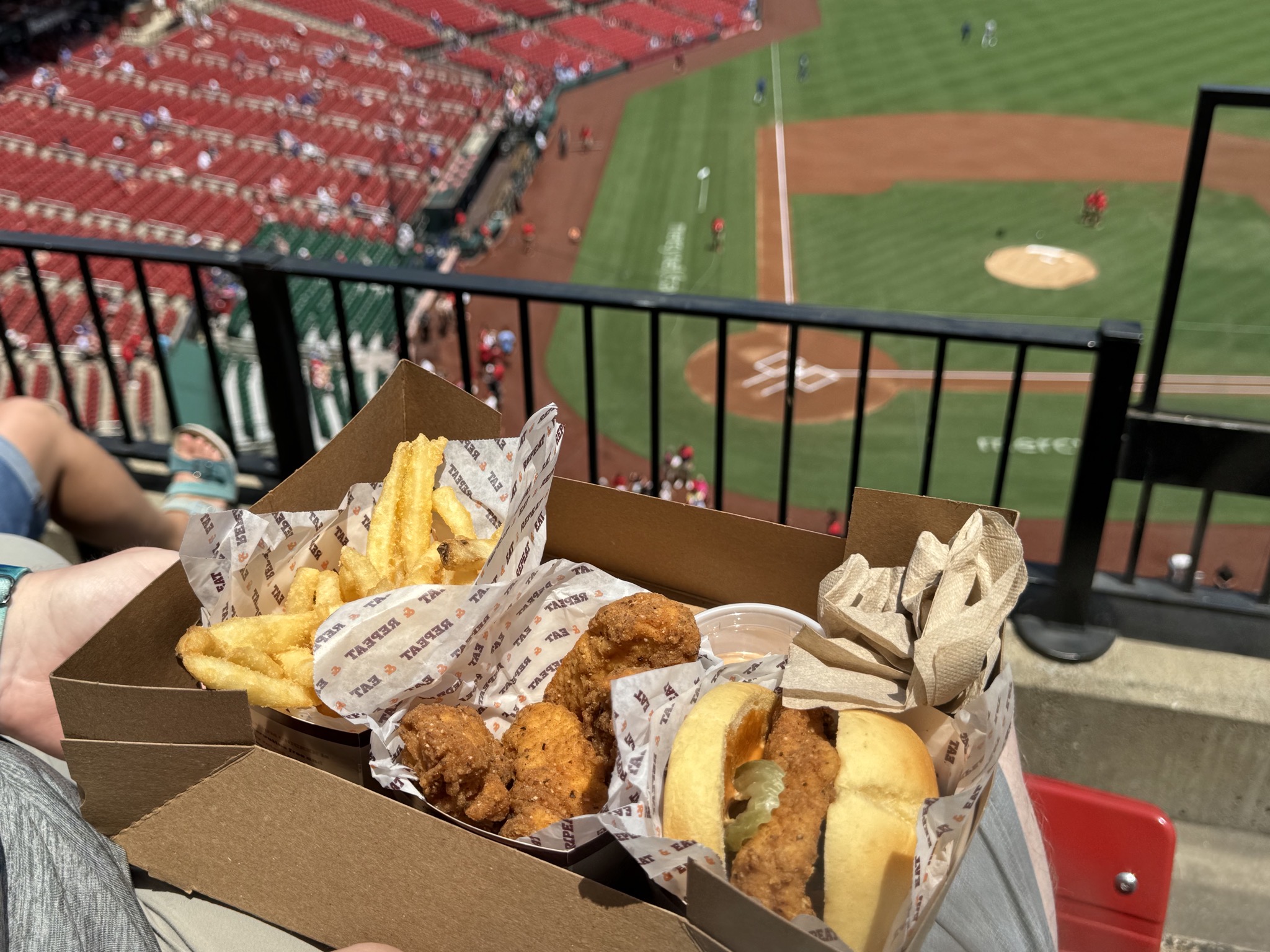 Chicken and fries