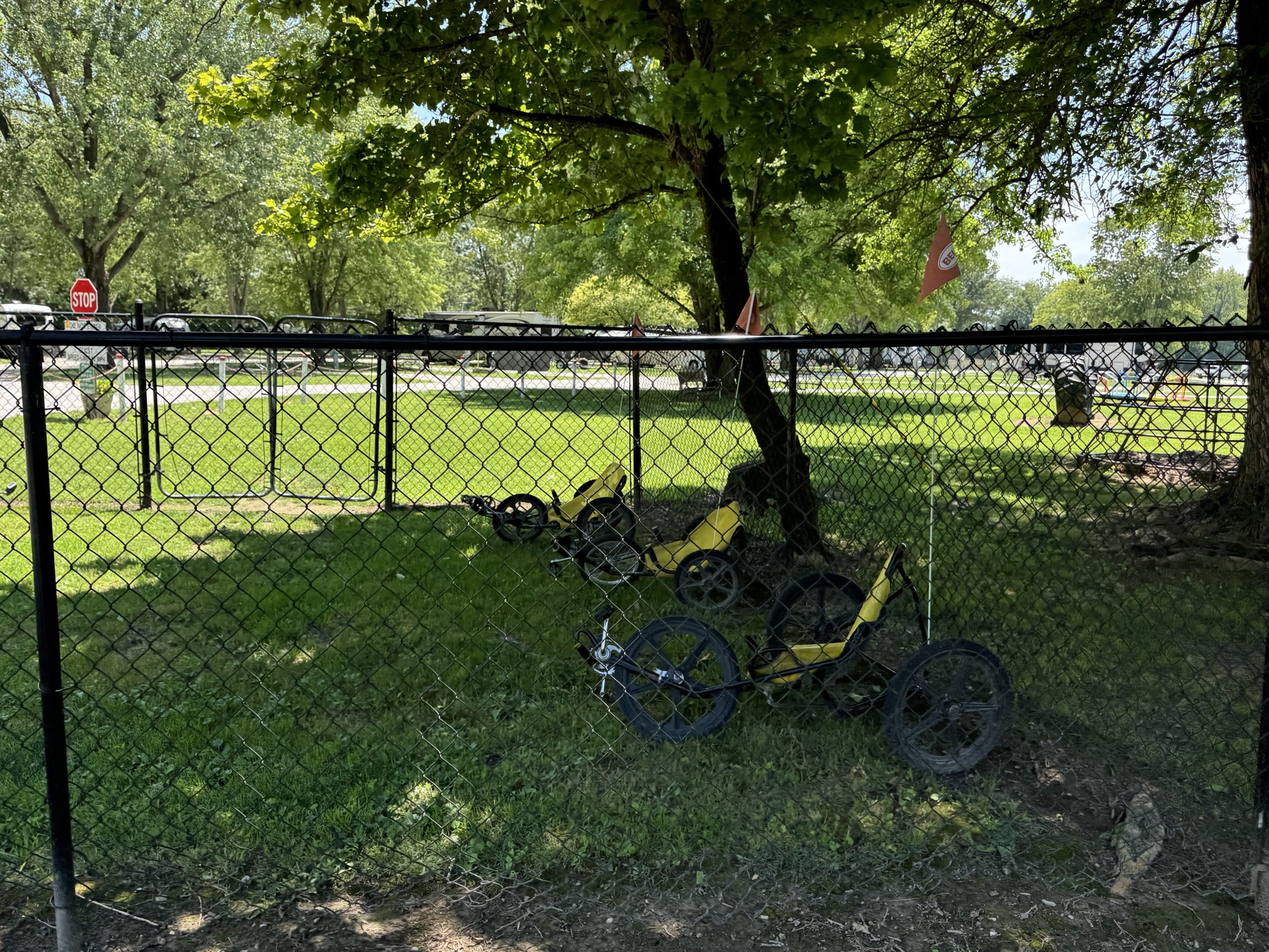 Bikes