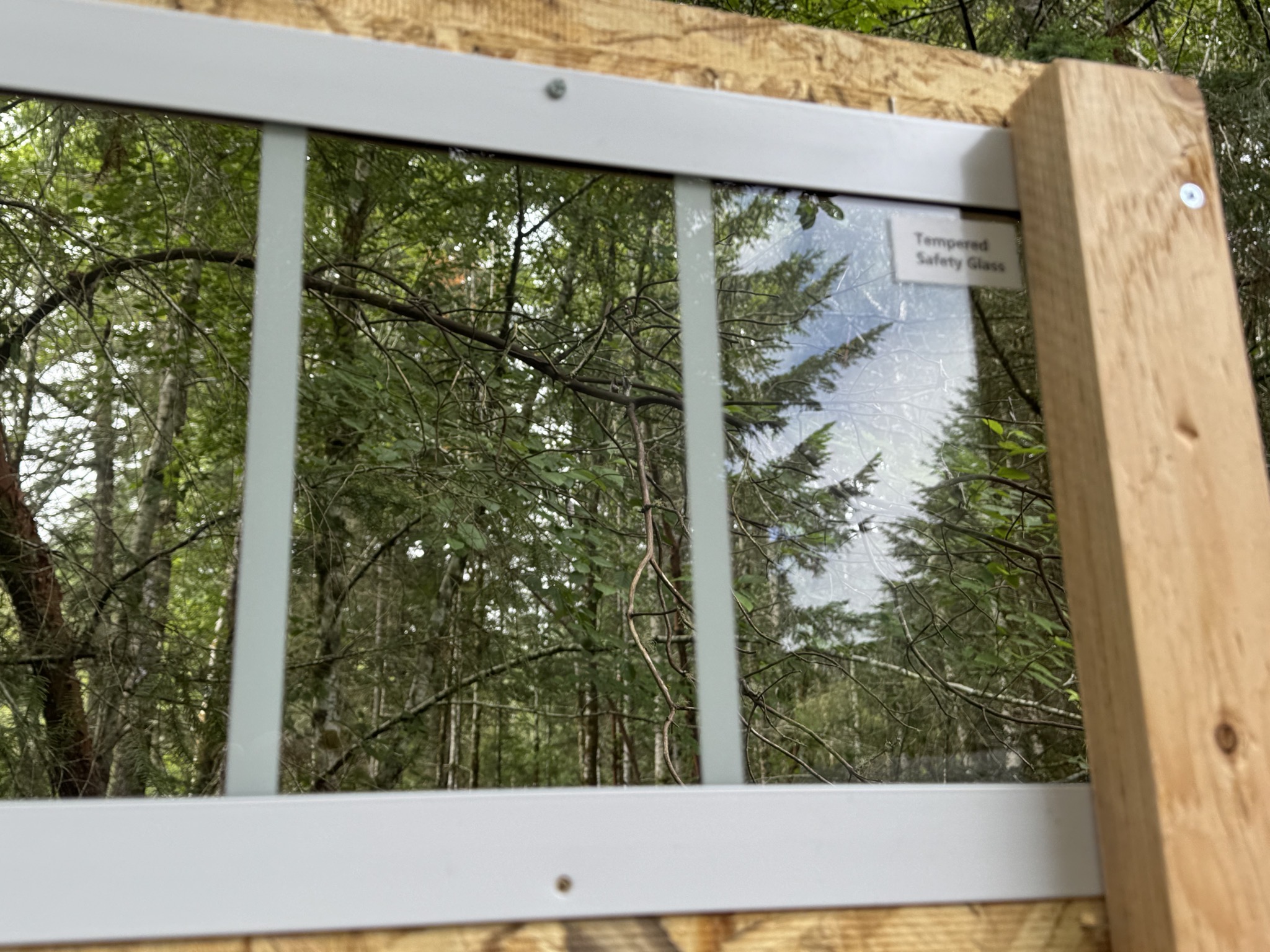 Window in door